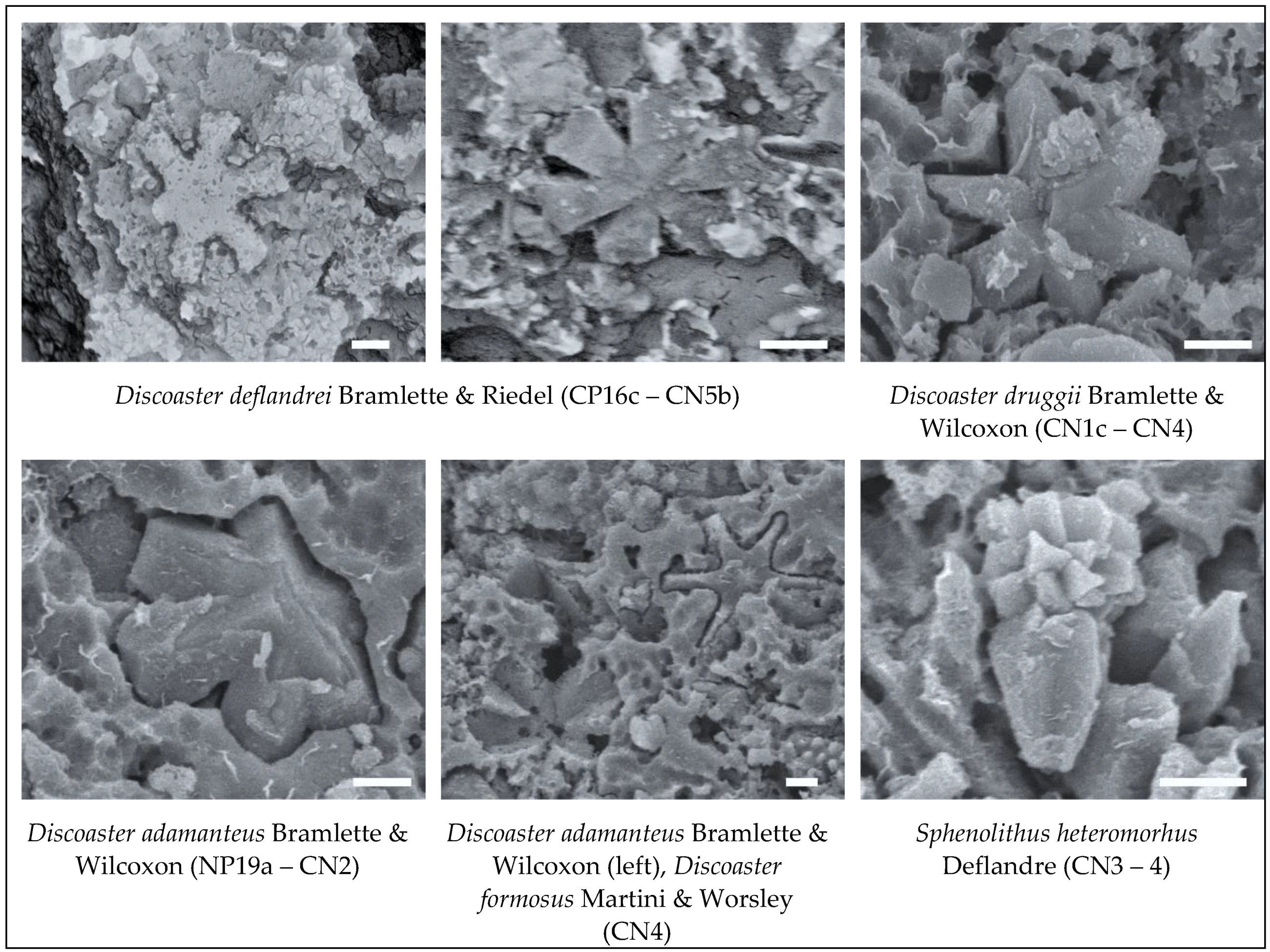 Preprints 115485 g008