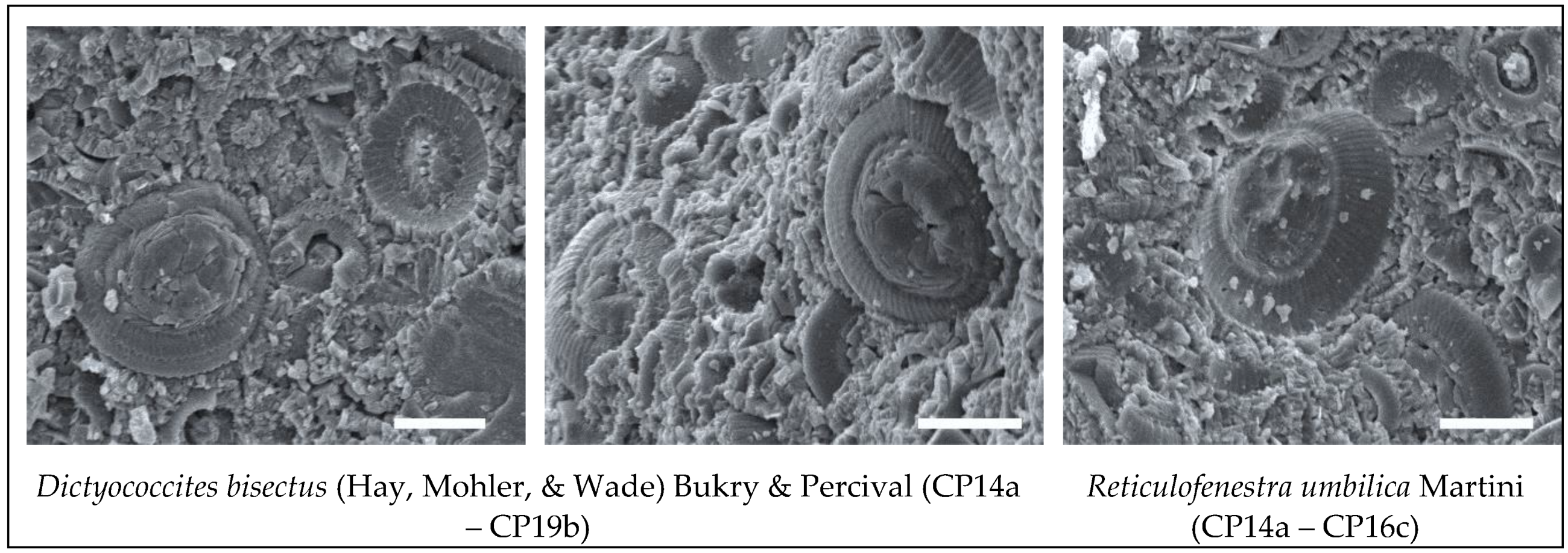 Preprints 115485 g009a