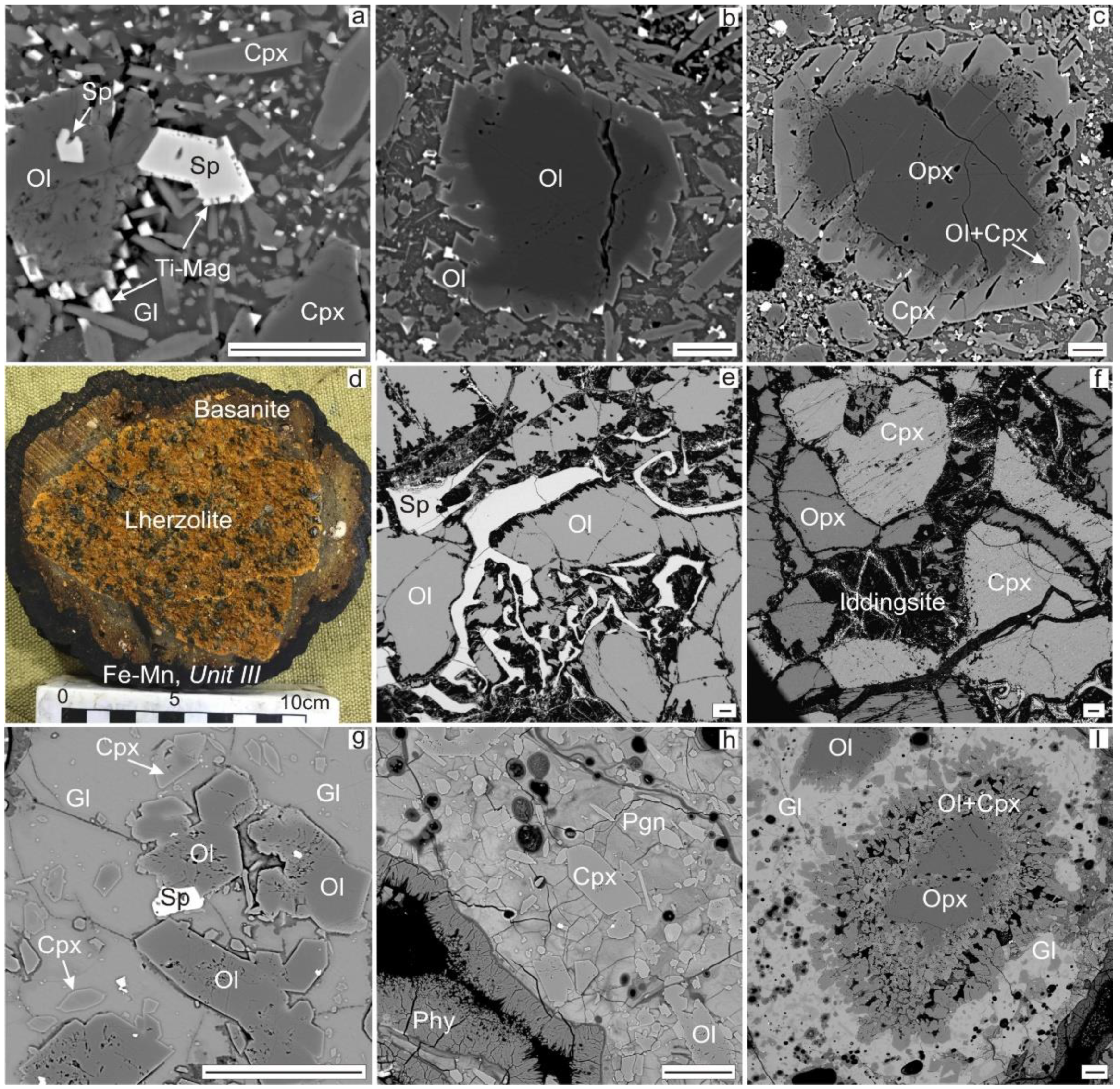 Preprints 115485 g010