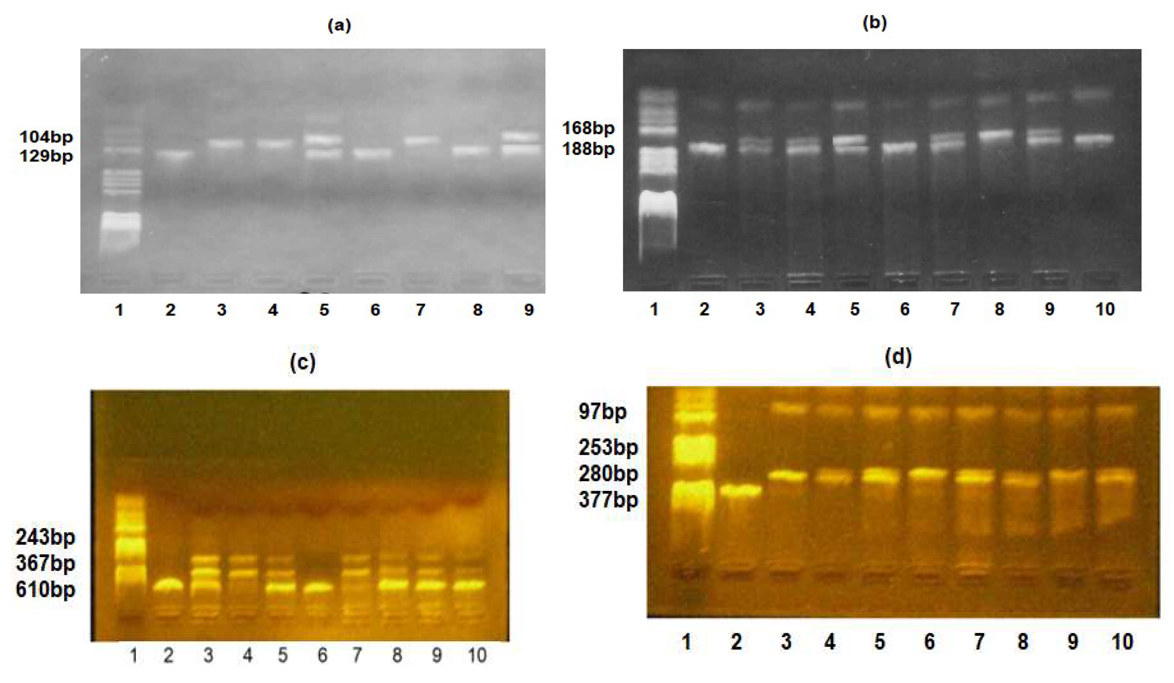 Preprints 83683 g001