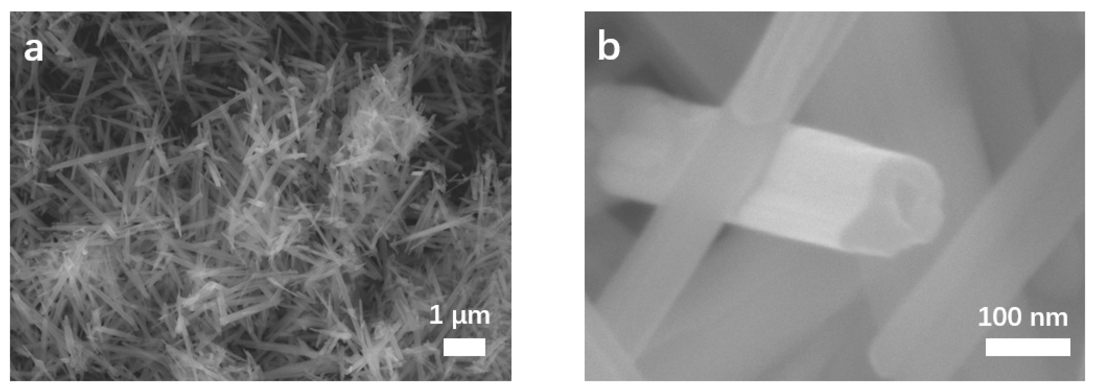 Preprints 70001 g002