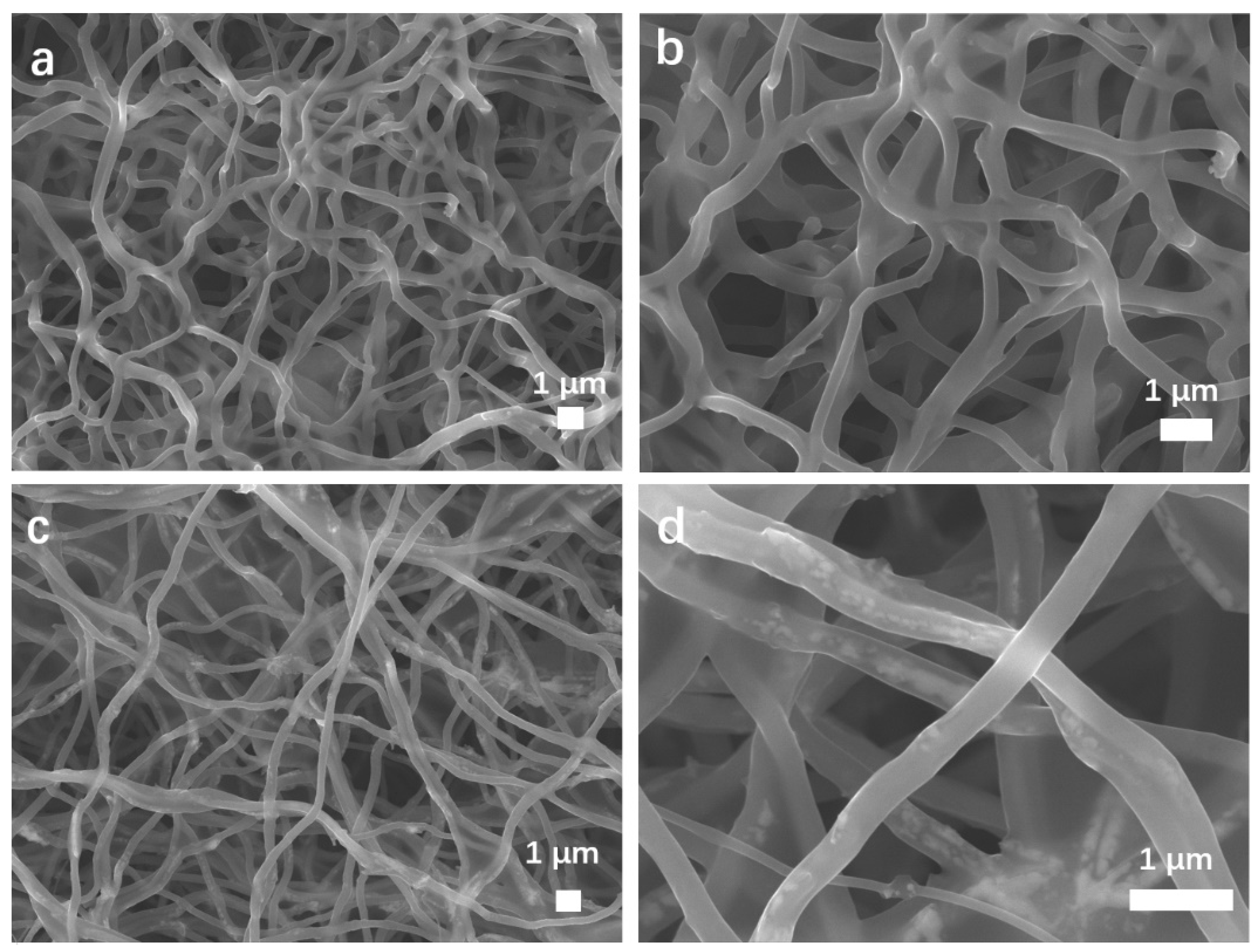 Preprints 70001 g003