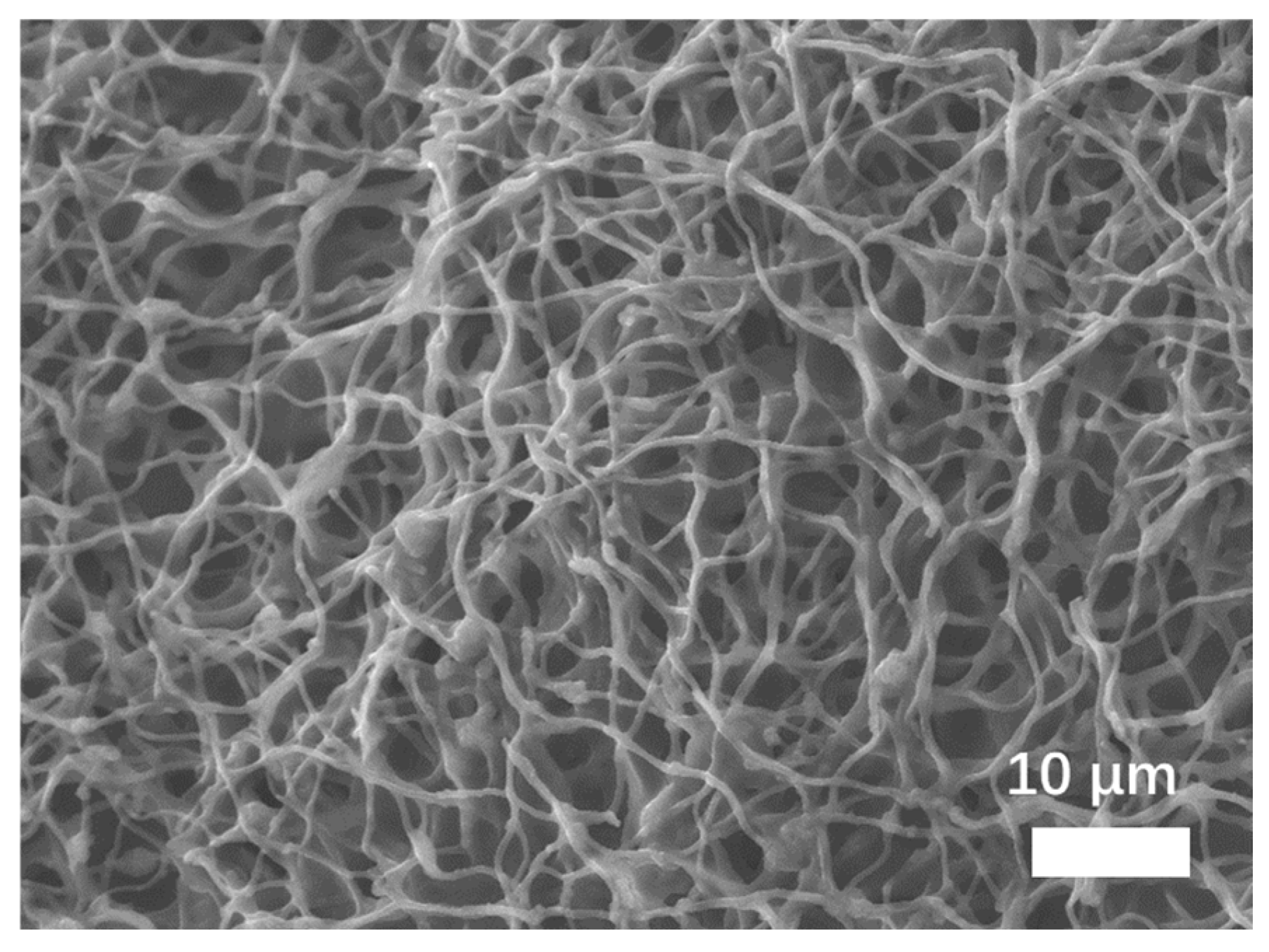 Preprints 70001 g010