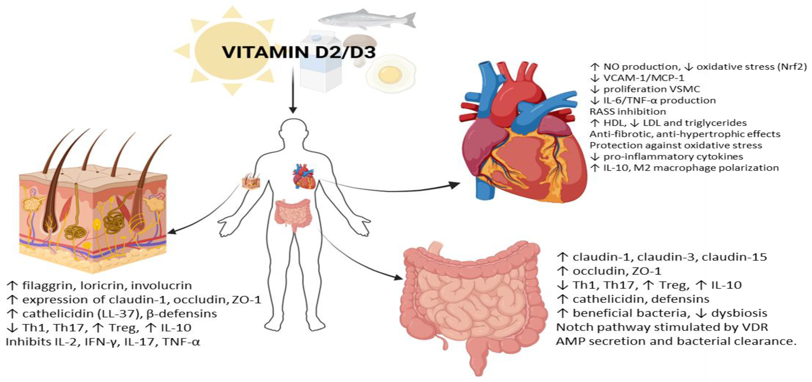 Preprints 169036 g001