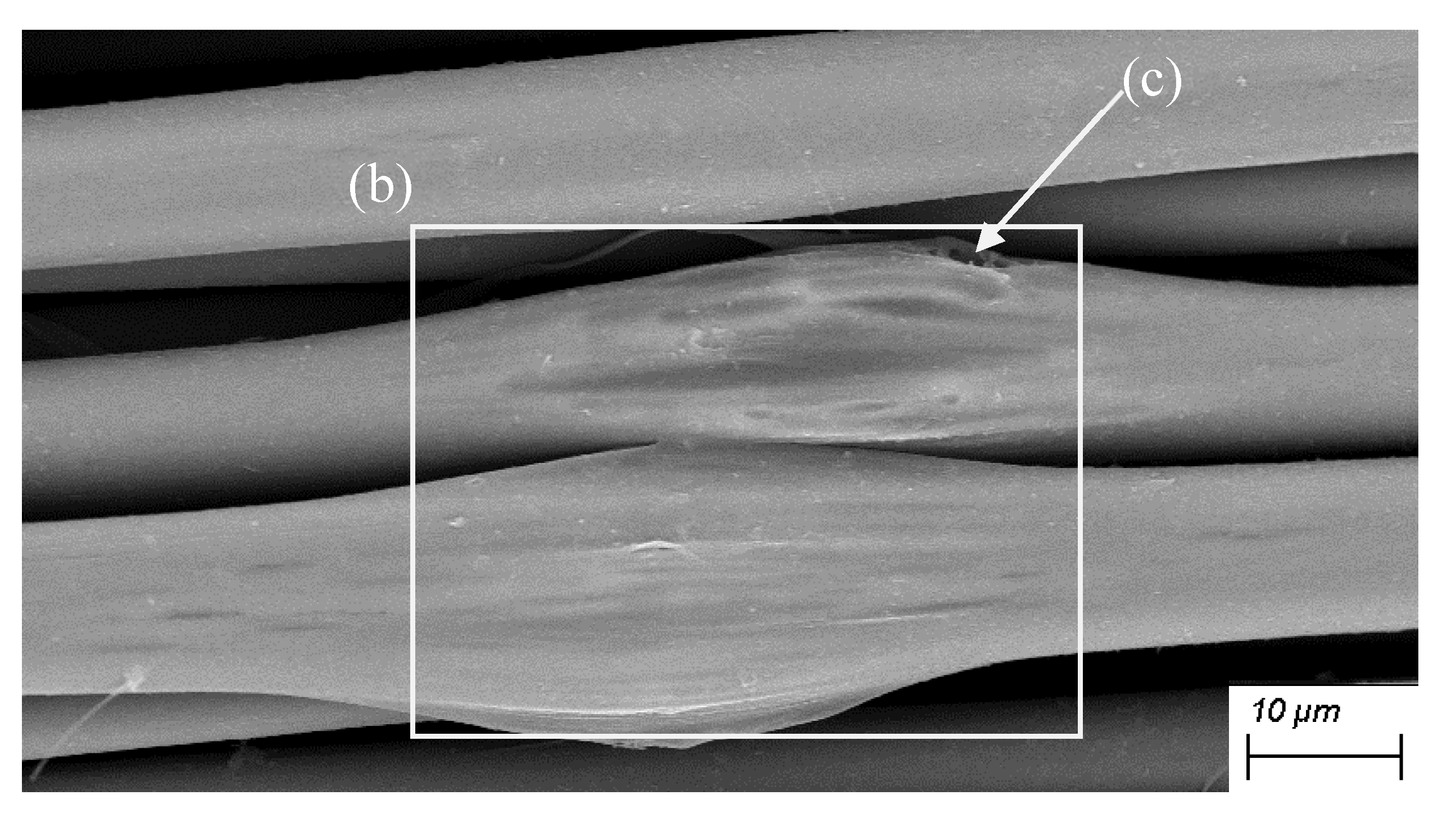 Preprints 202996 g002a Preprints 202996 g002a