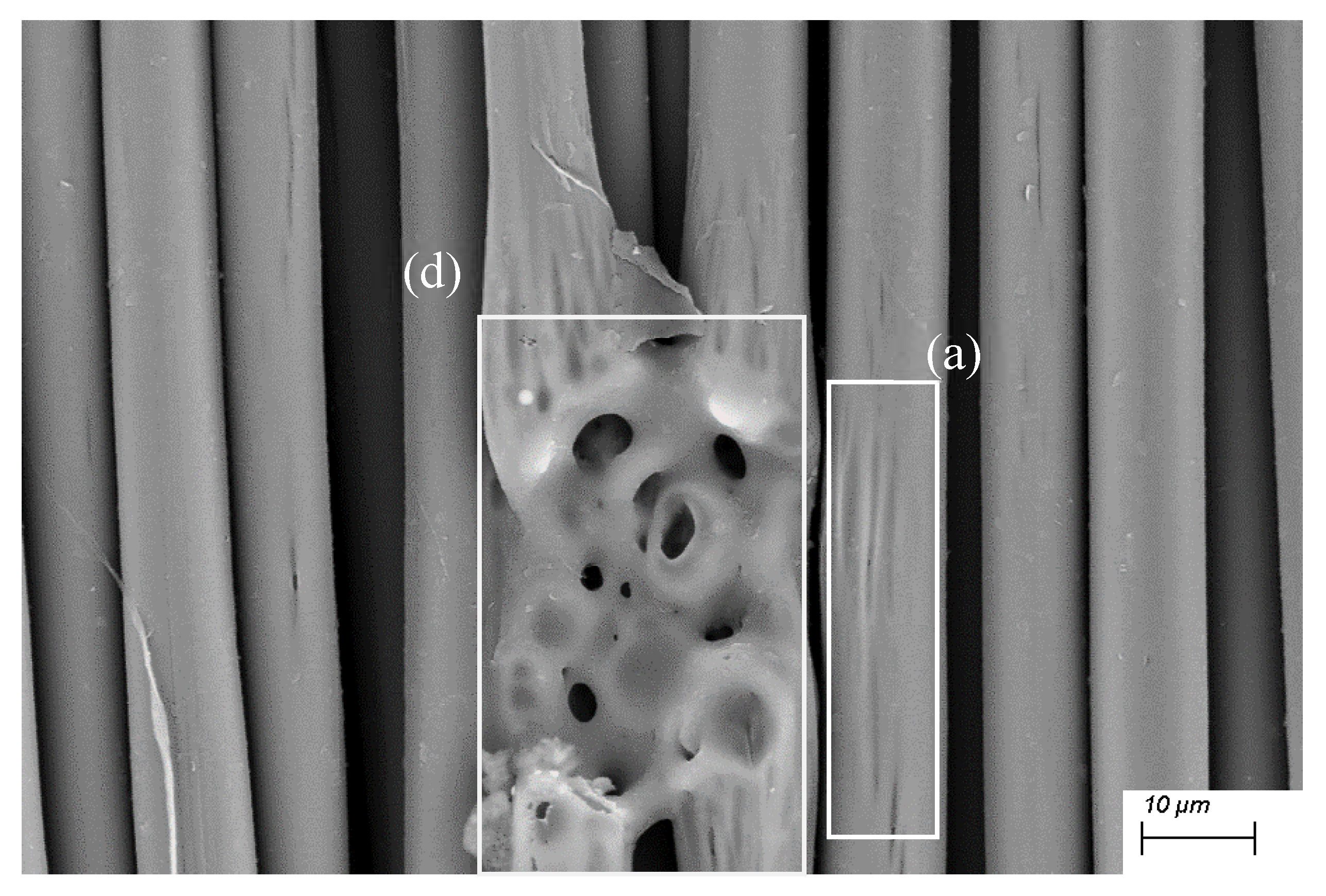Preprints 202996 g002b