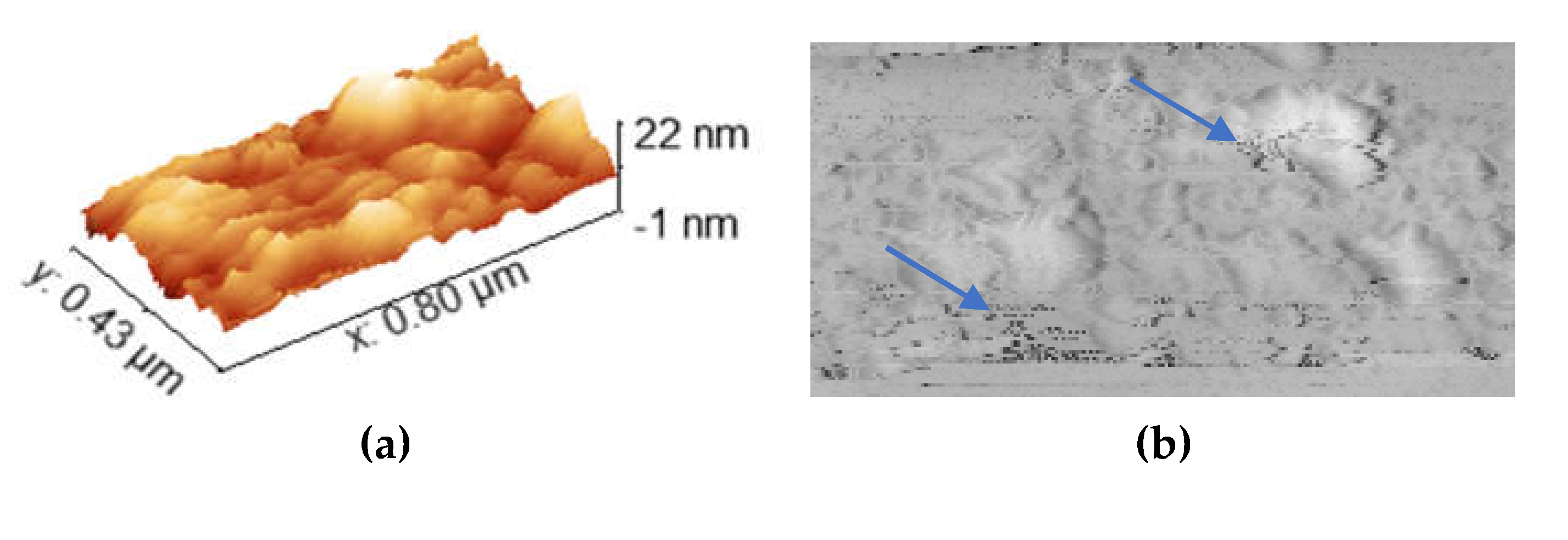 Preprints 202996 g009a Preprints 202996 g009a