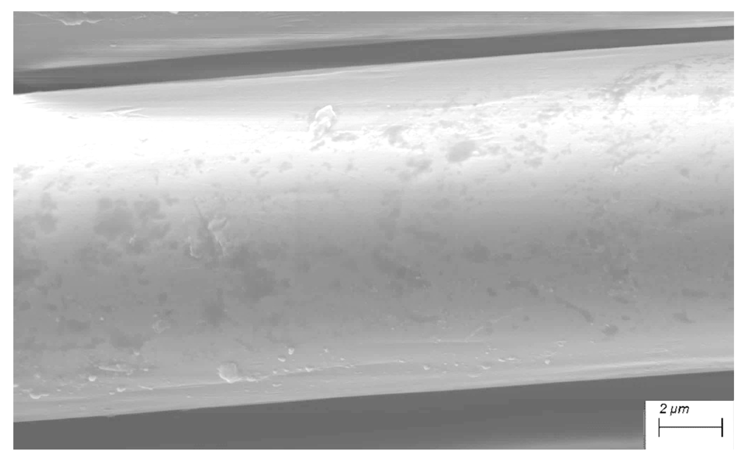 Preprints 202996 g010 Preprints 202996 g010