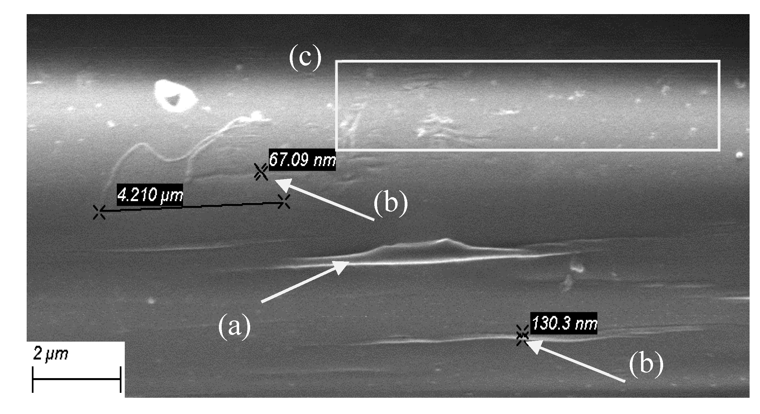 Preprints 202996 g011 Preprints 202996 g011
