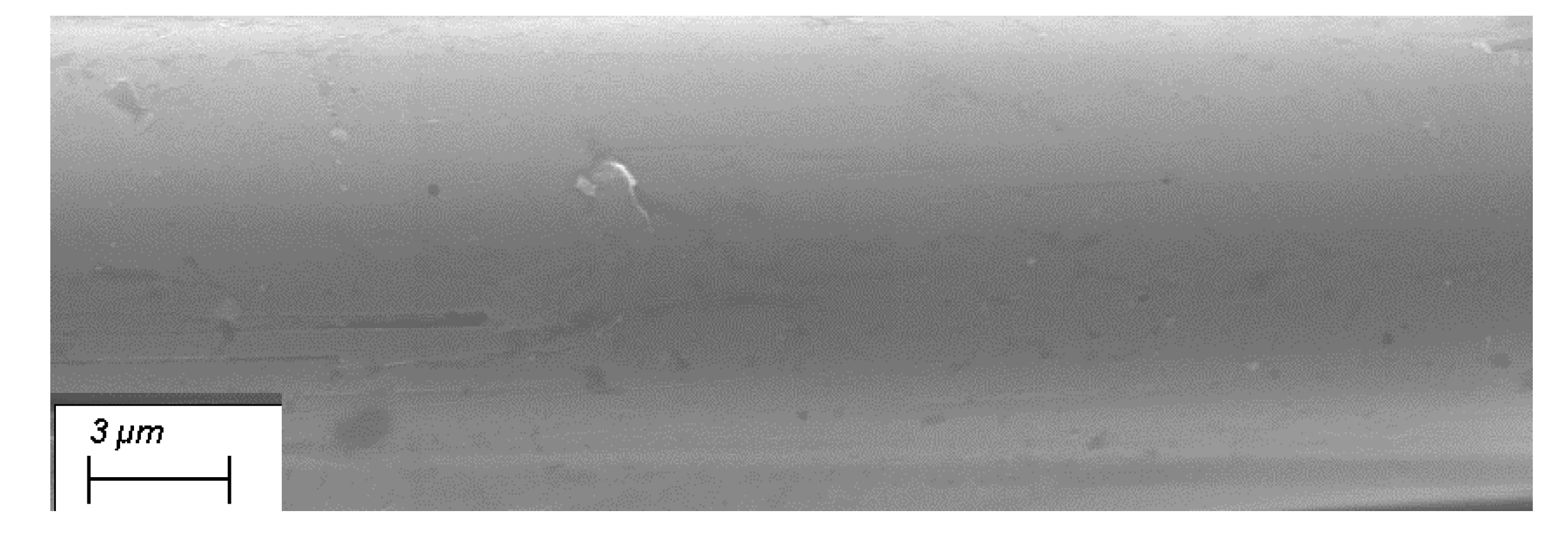 Preprints 202996 g012 Preprints 202996 g012