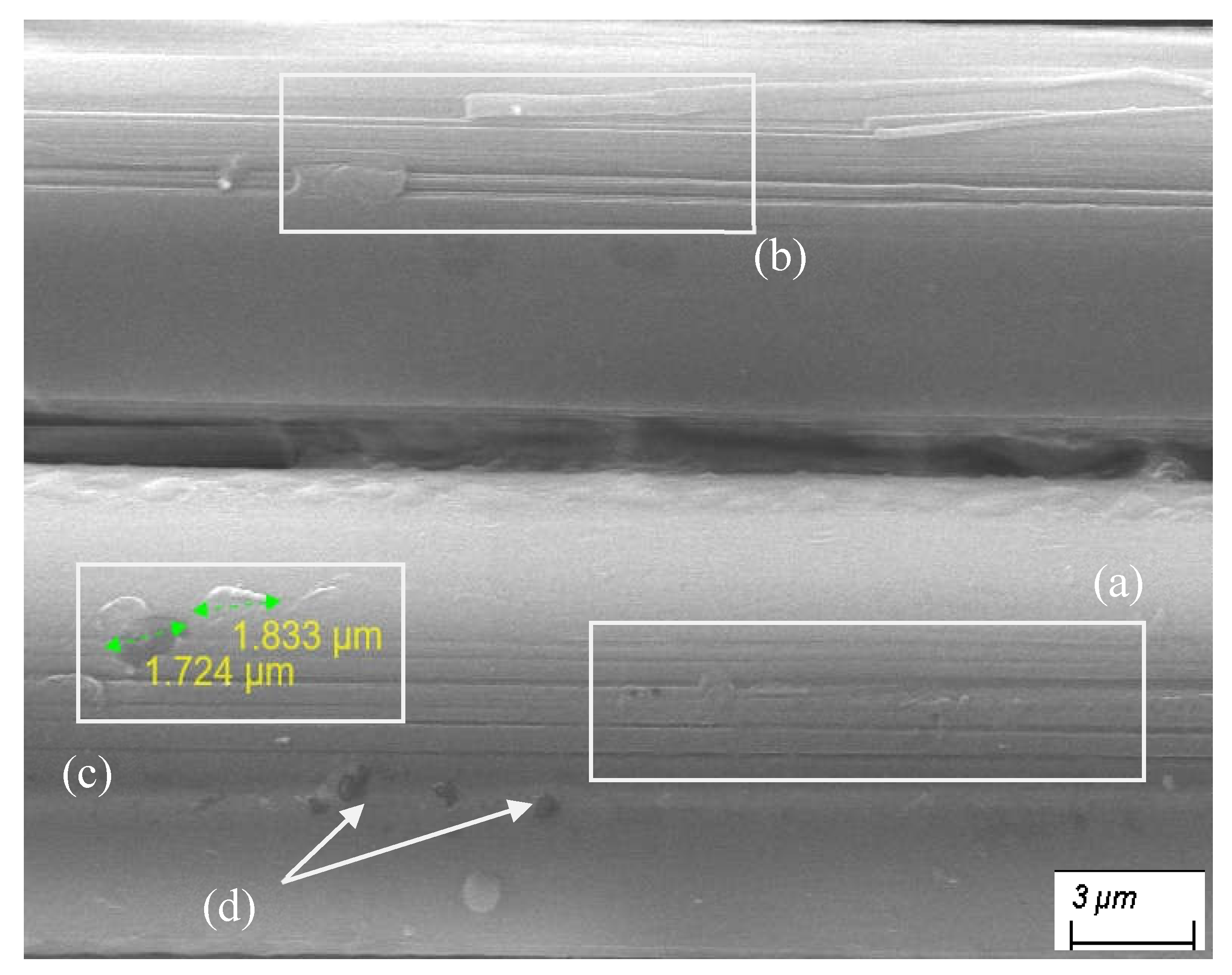 Preprints 202996 g013 Preprints 202996 g013