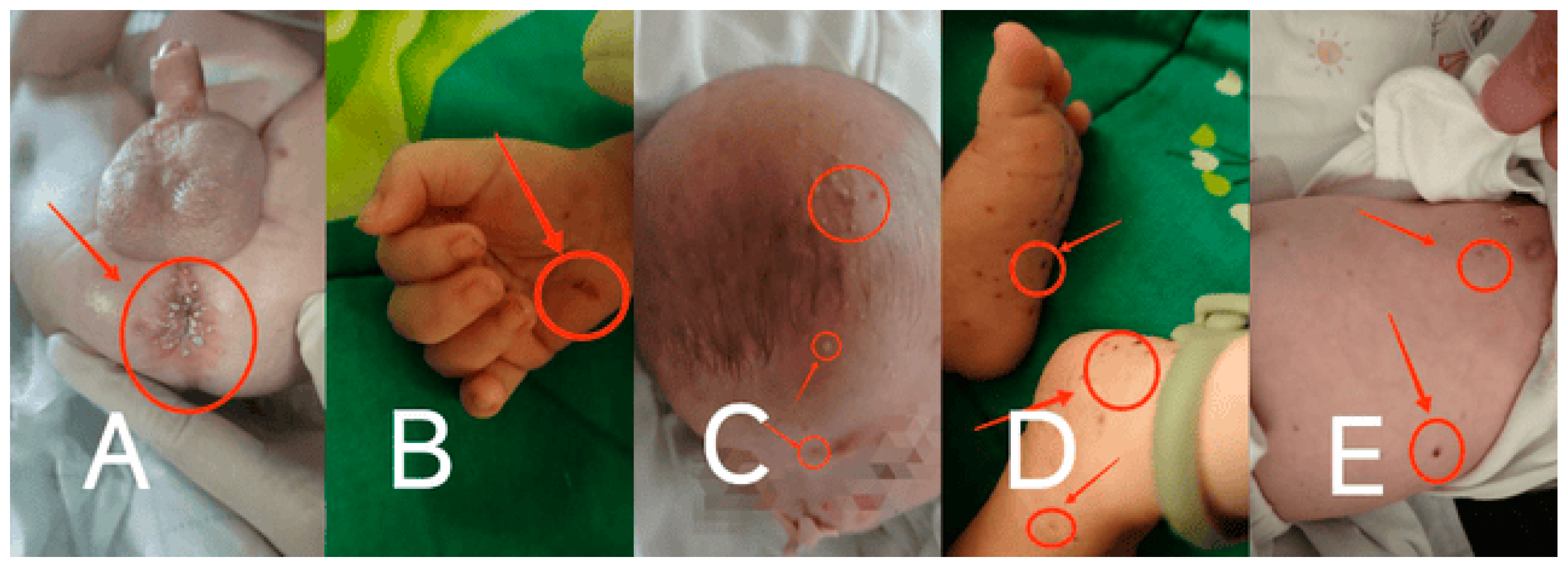 Preprints 149012 g001