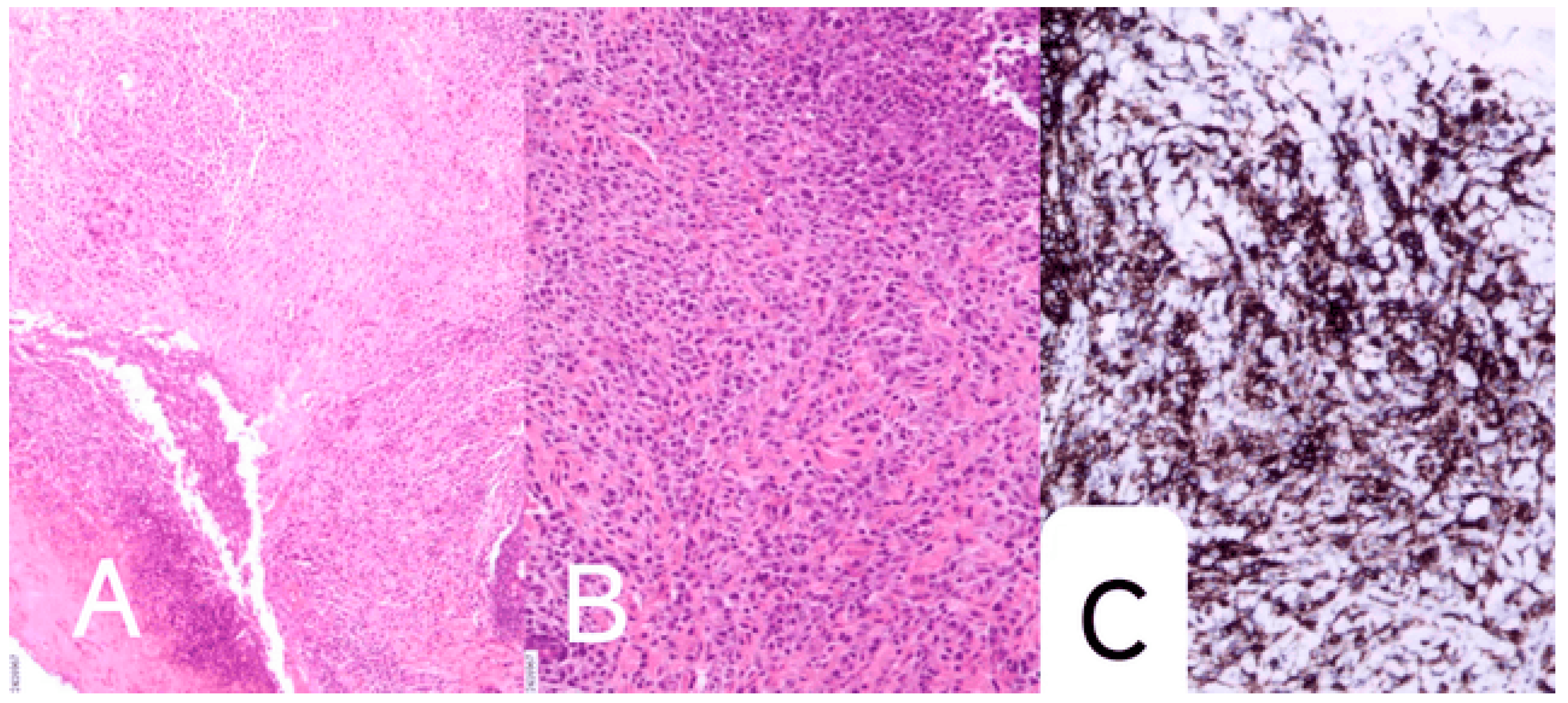 Preprints 149012 g002