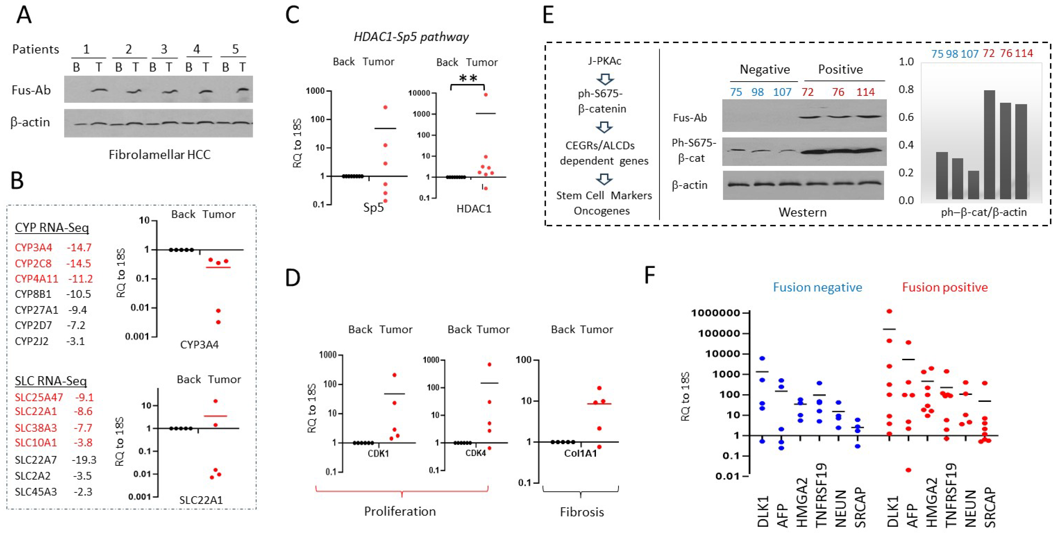 Preprints 139877 g007