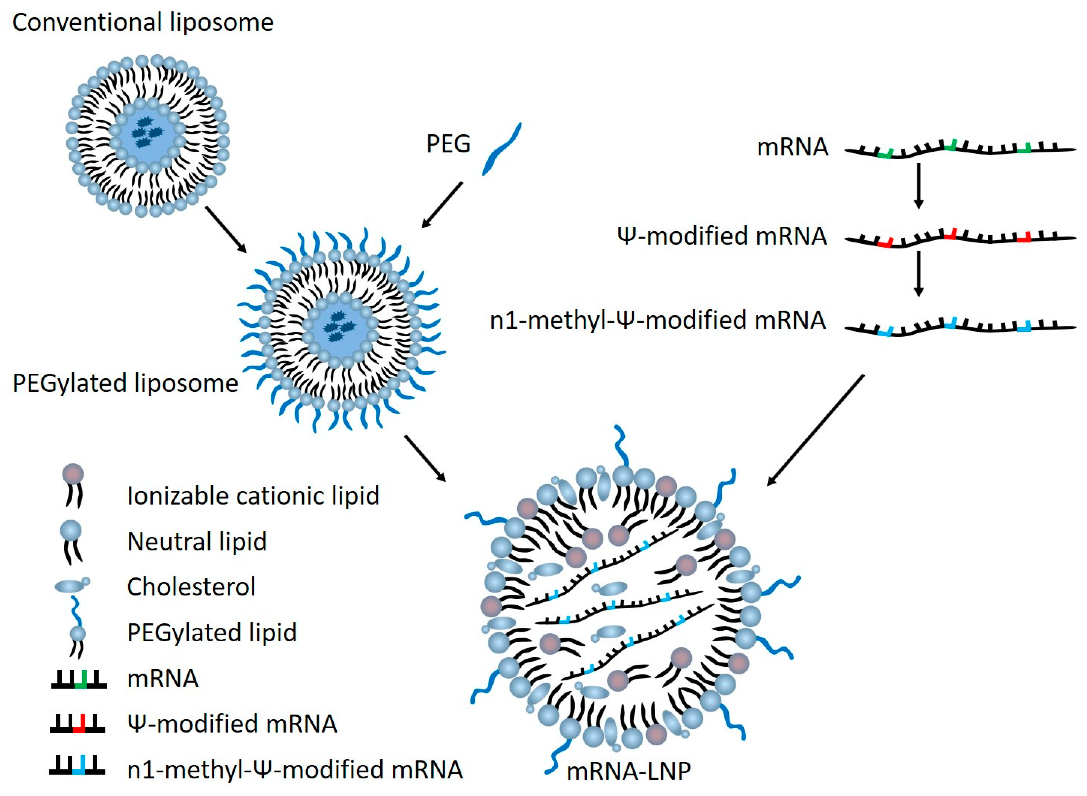 Preprints 66930 g001