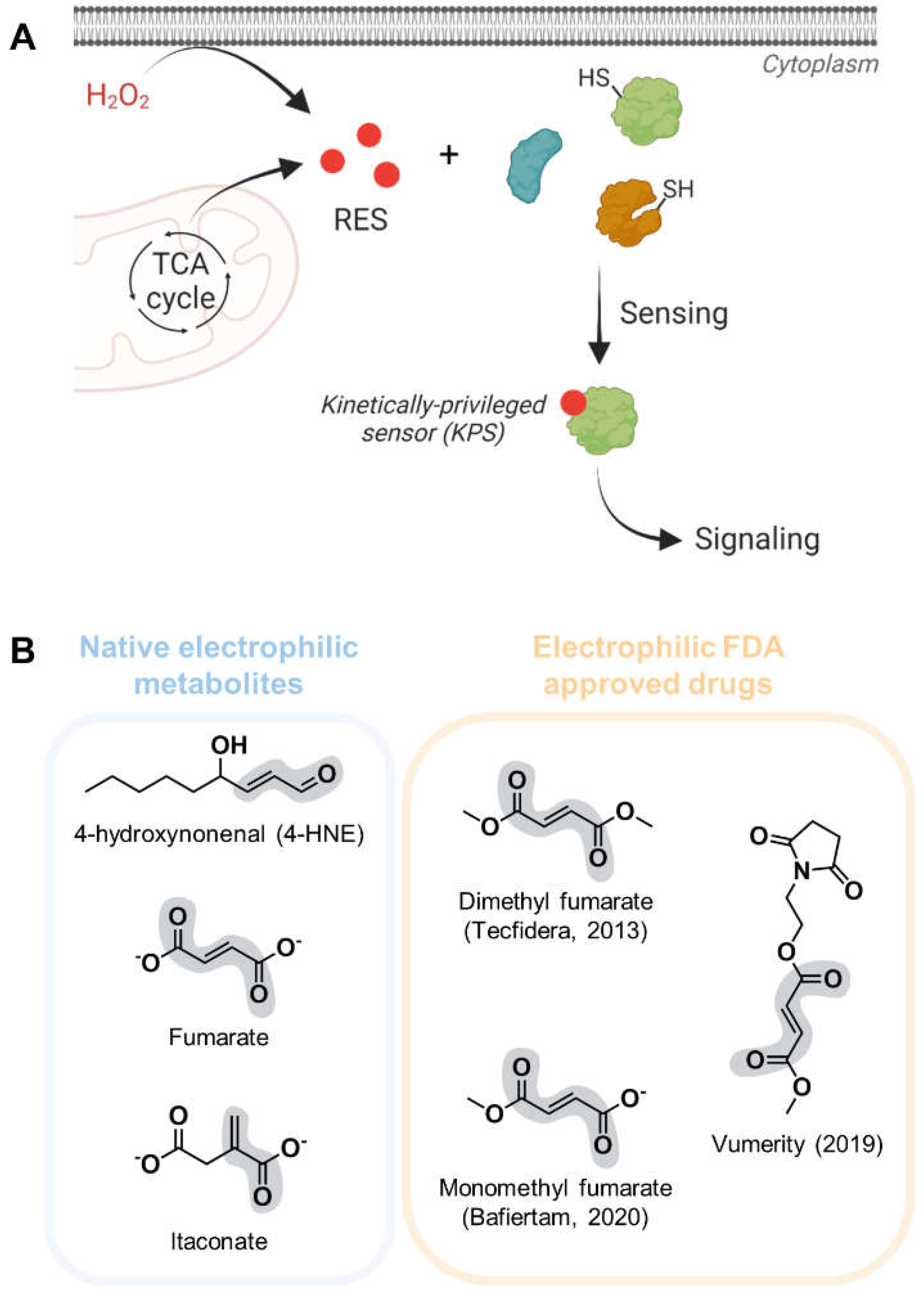 Preprints 67213 g001