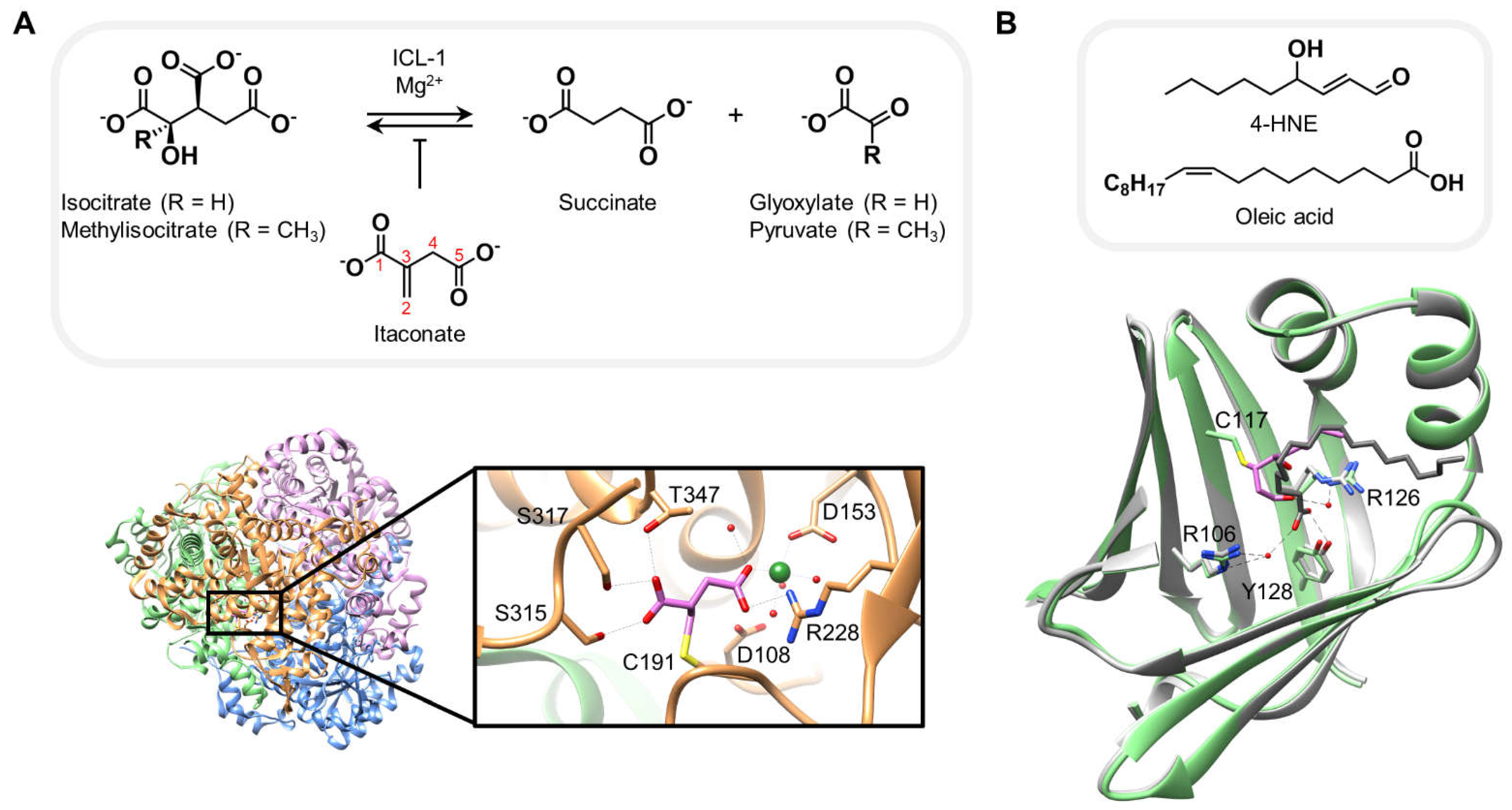 Preprints 67213 g004