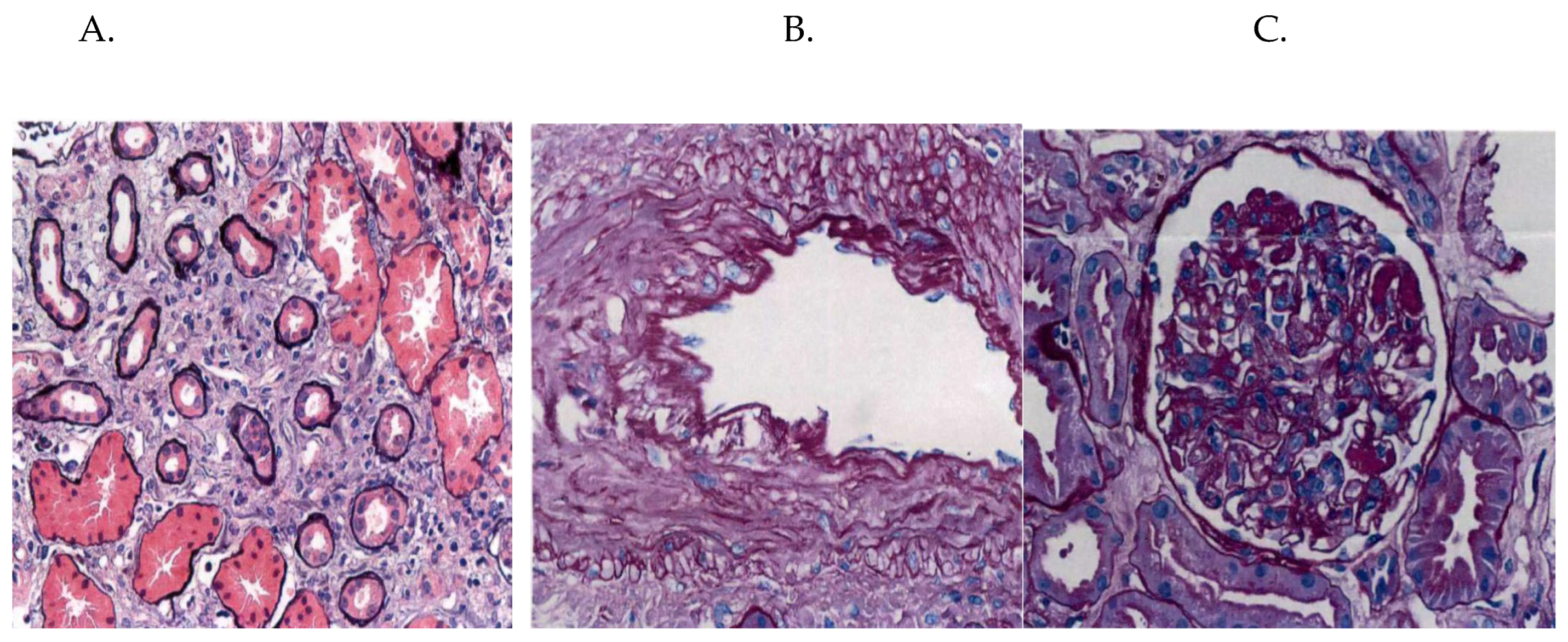 Preprints 158916 g001