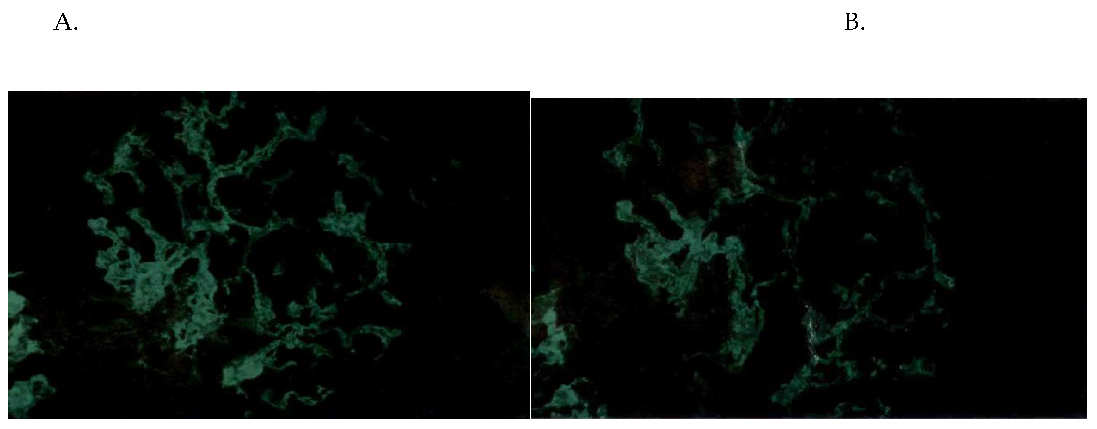 Preprints 158916 g002