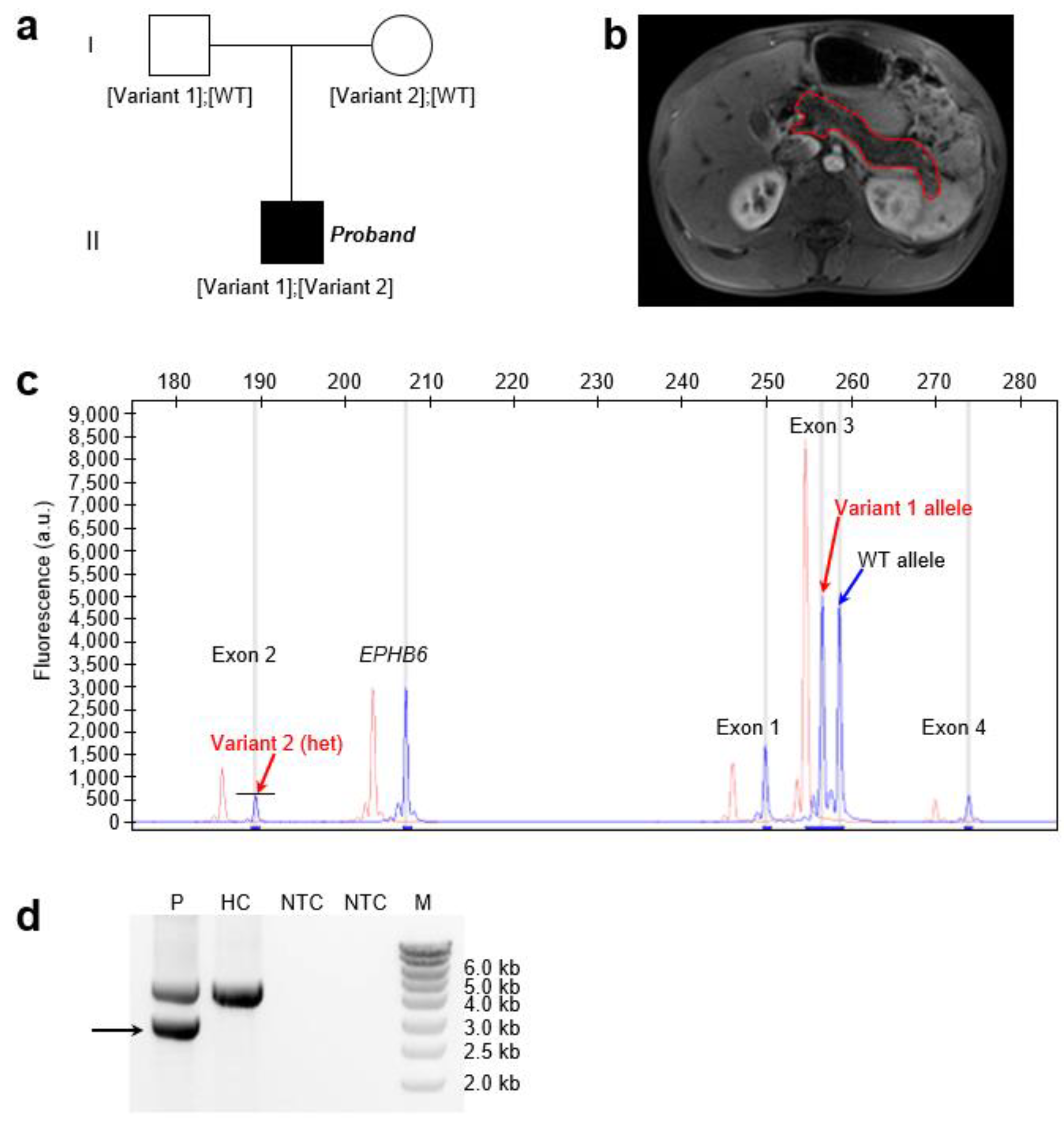 Preprints 165201 g001
