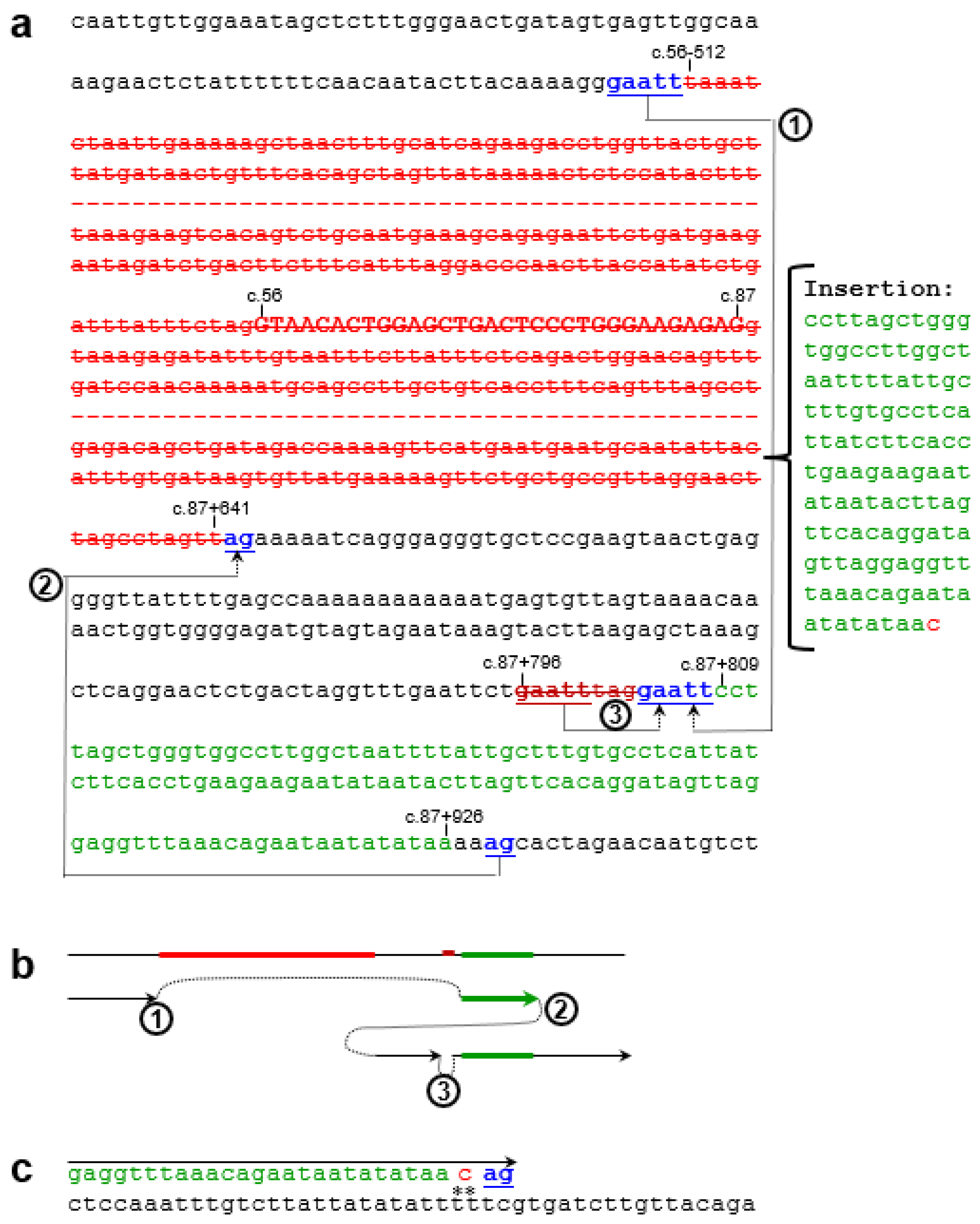 Preprints 165201 g002