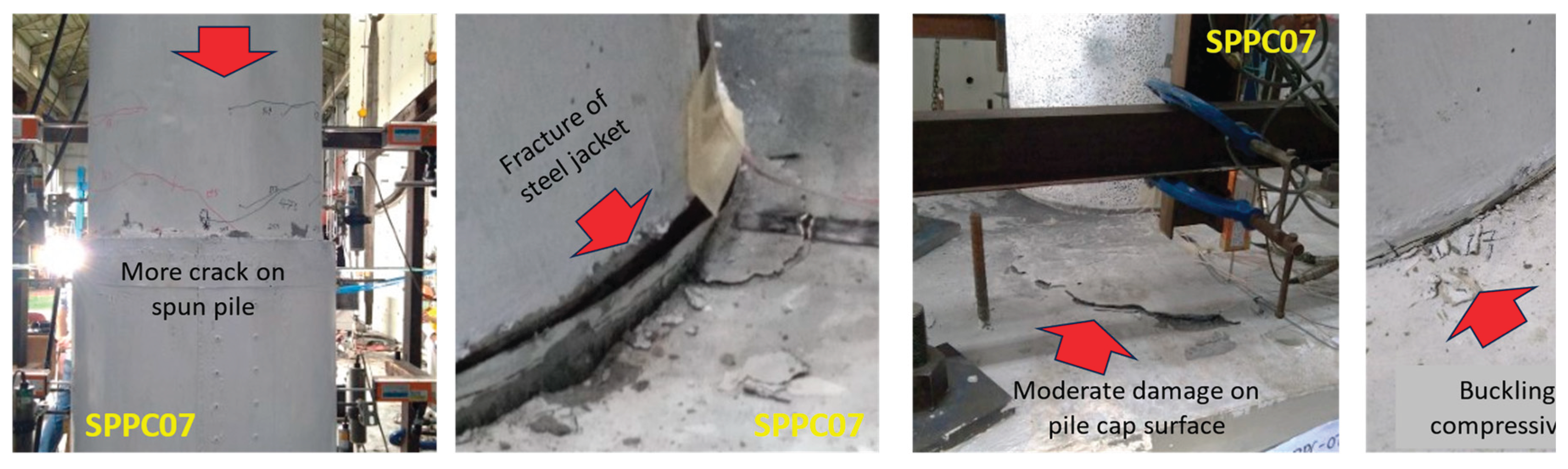 Preprints 170962 g005