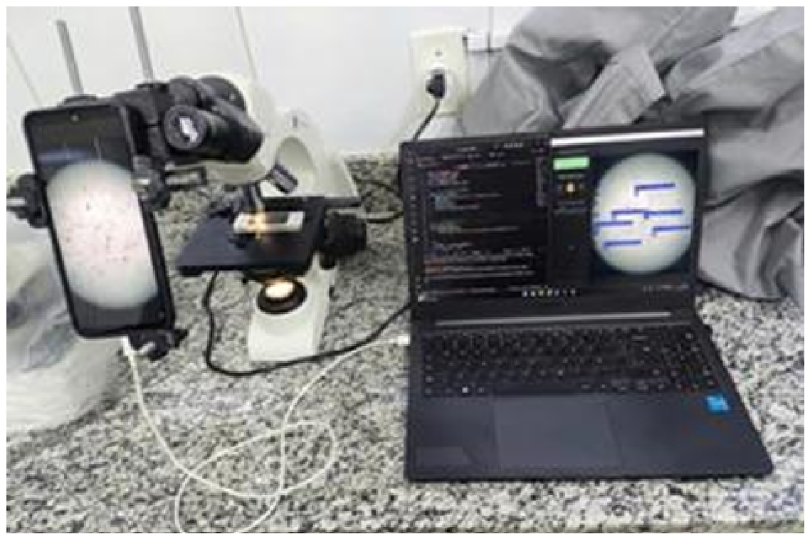 Preprints 219223 g004 Preprints 219223 g004
