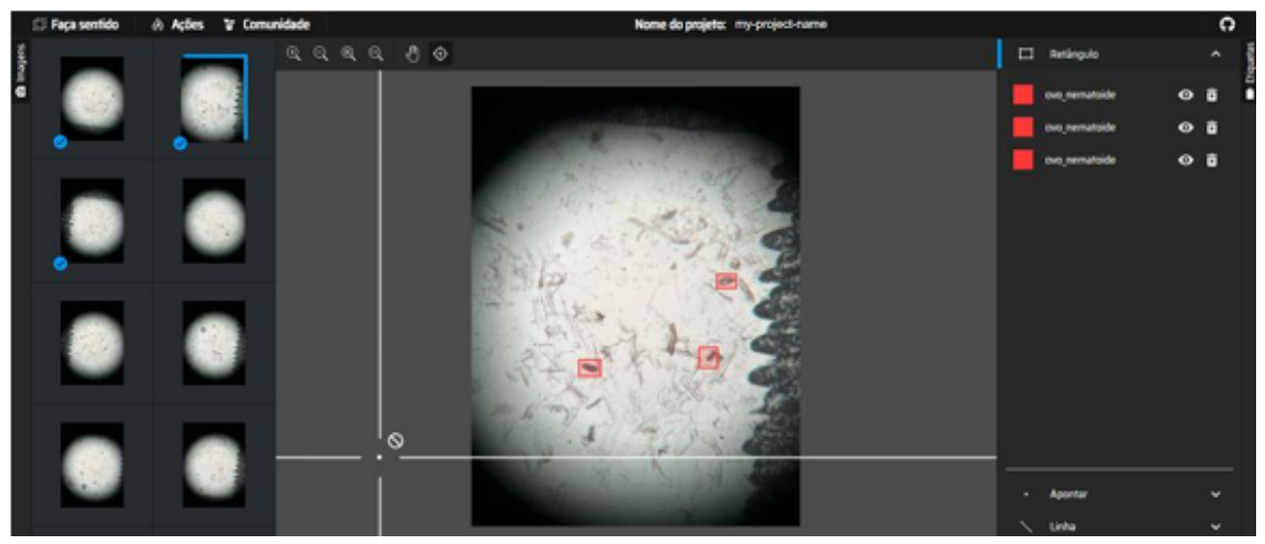 Preprints 219223 g005 Preprints 219223 g005