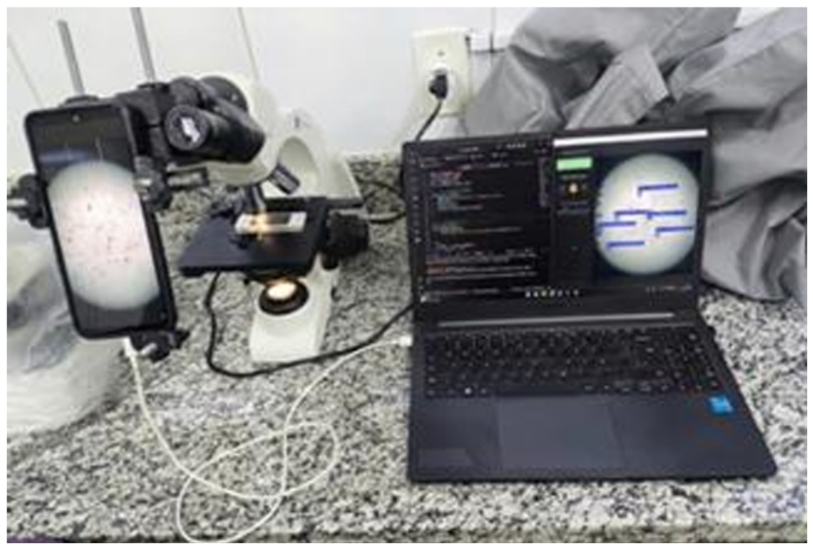 Preprints 219223 g008 Preprints 219223 g008