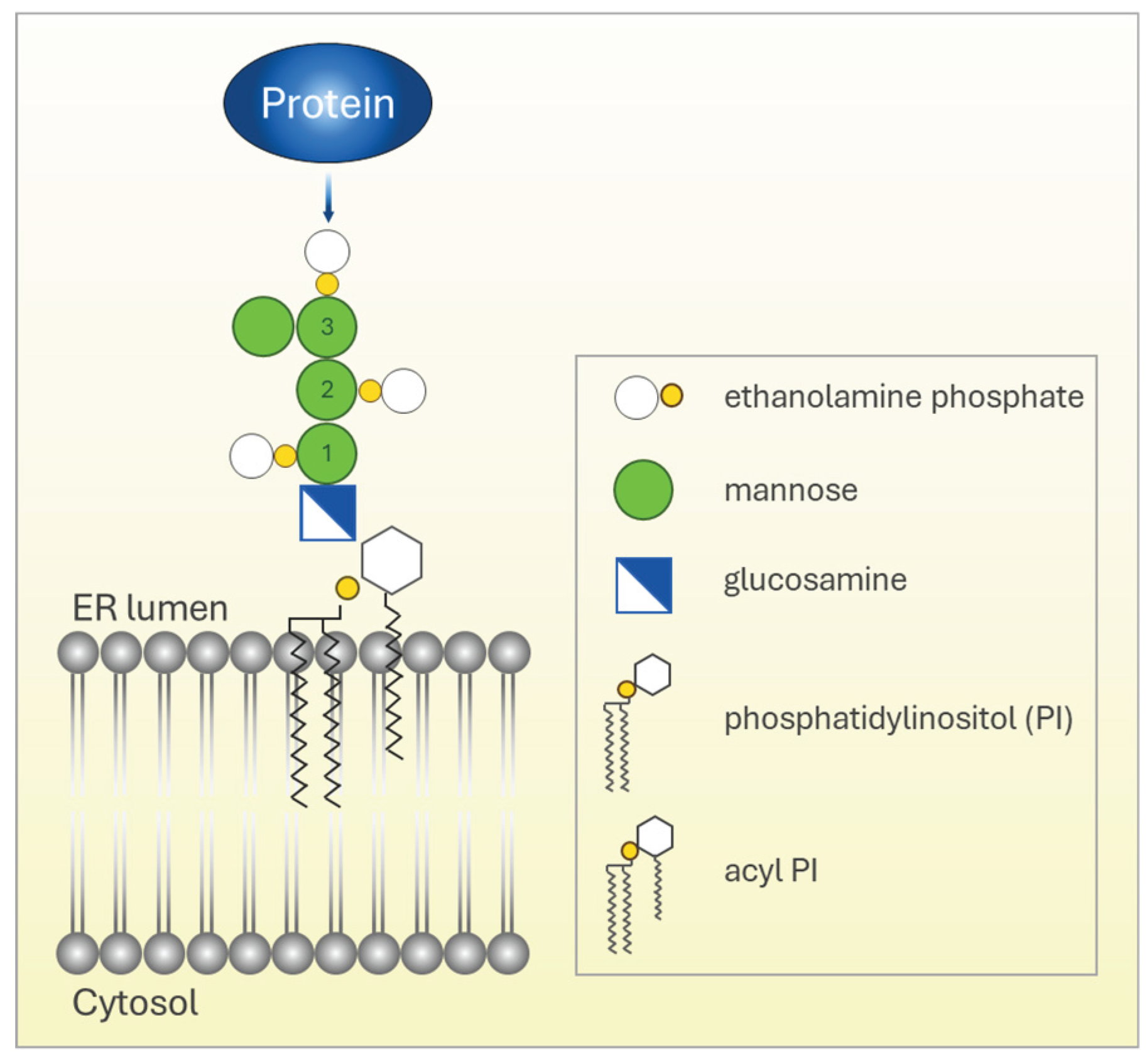 Preprints 187419 g001