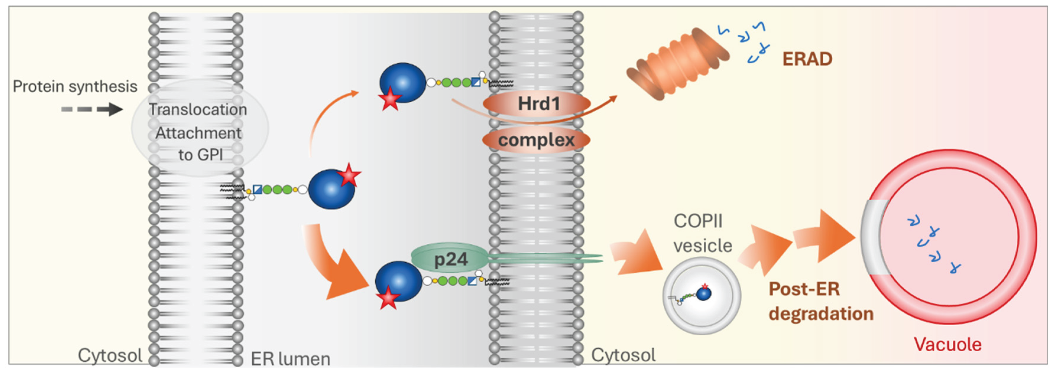 Preprints 187419 g002