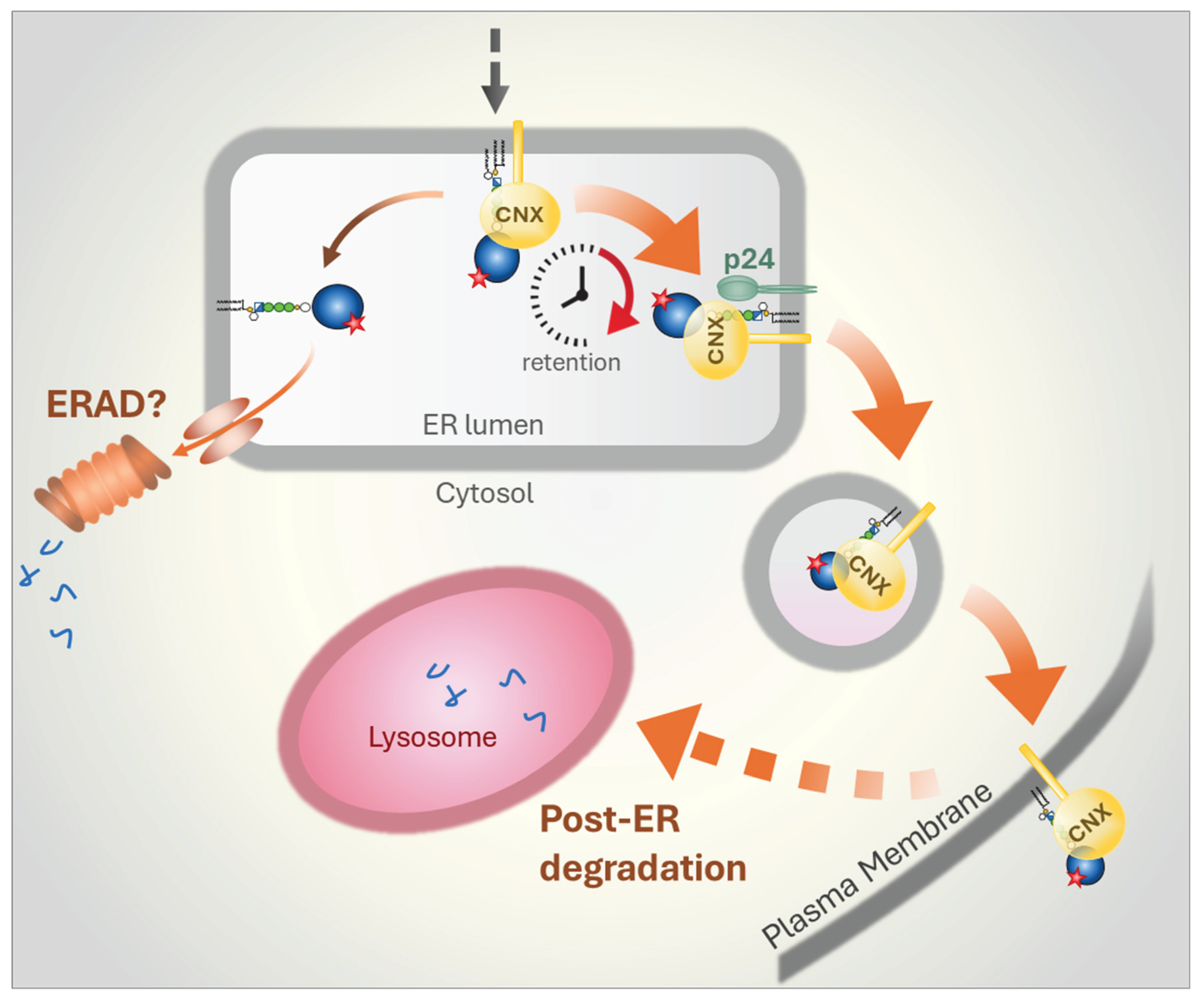 Preprints 187419 g004