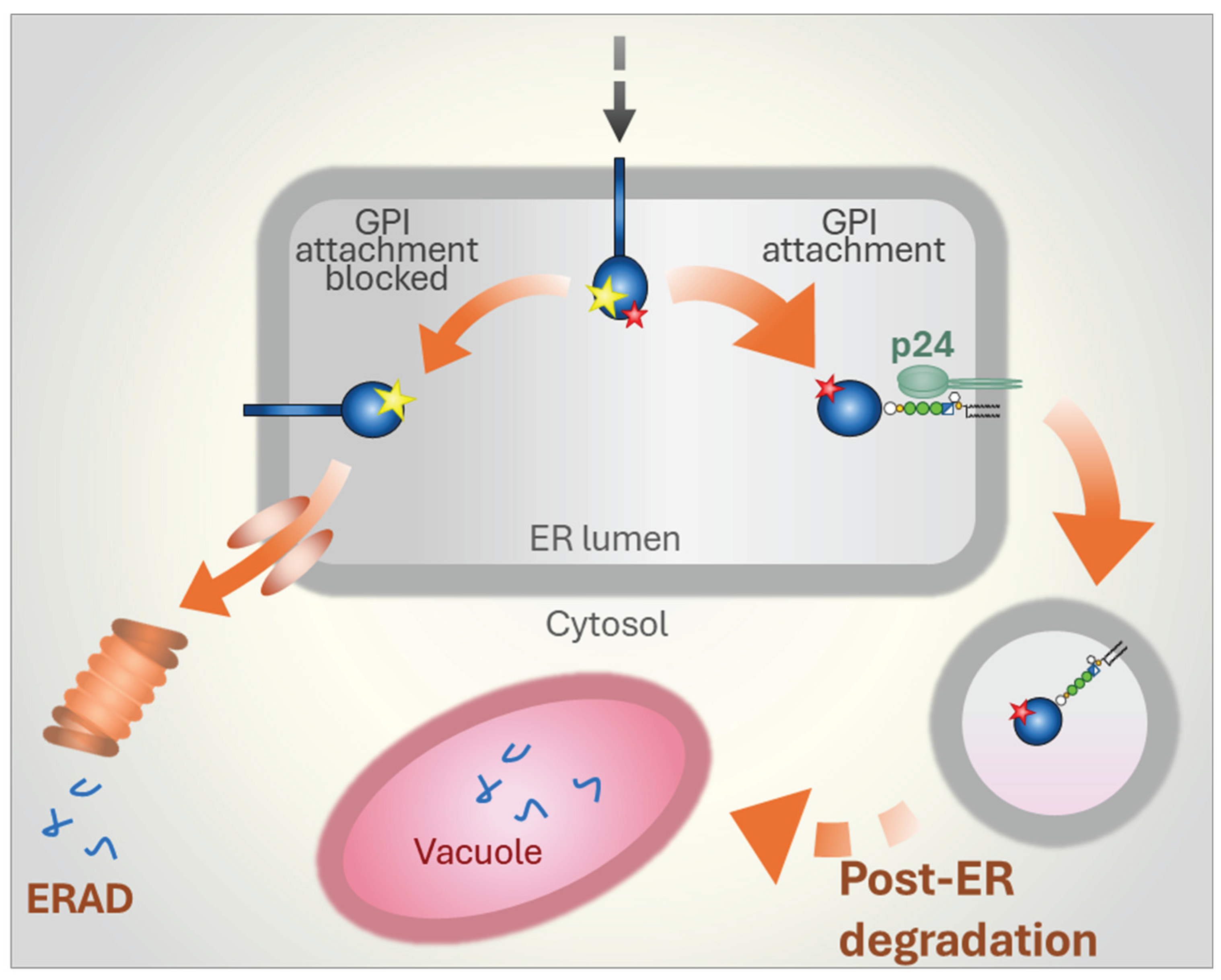 Preprints 187419 g005
