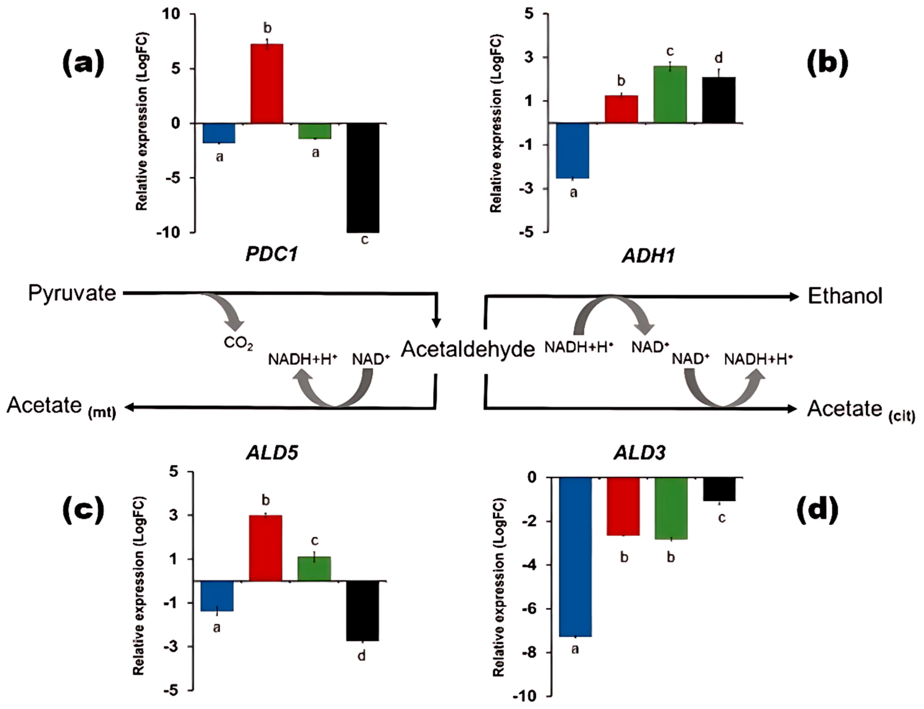 Preprints 160628 g005