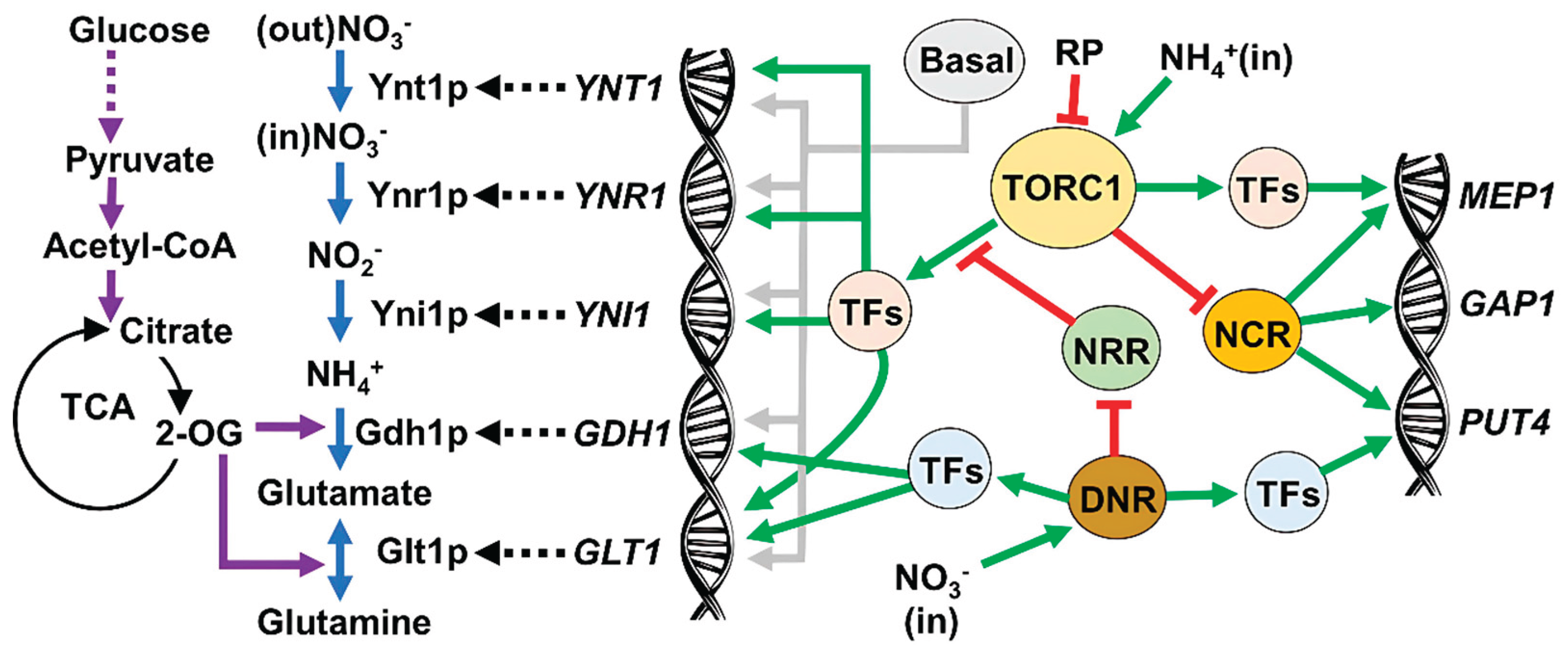 Preprints 160628 g006