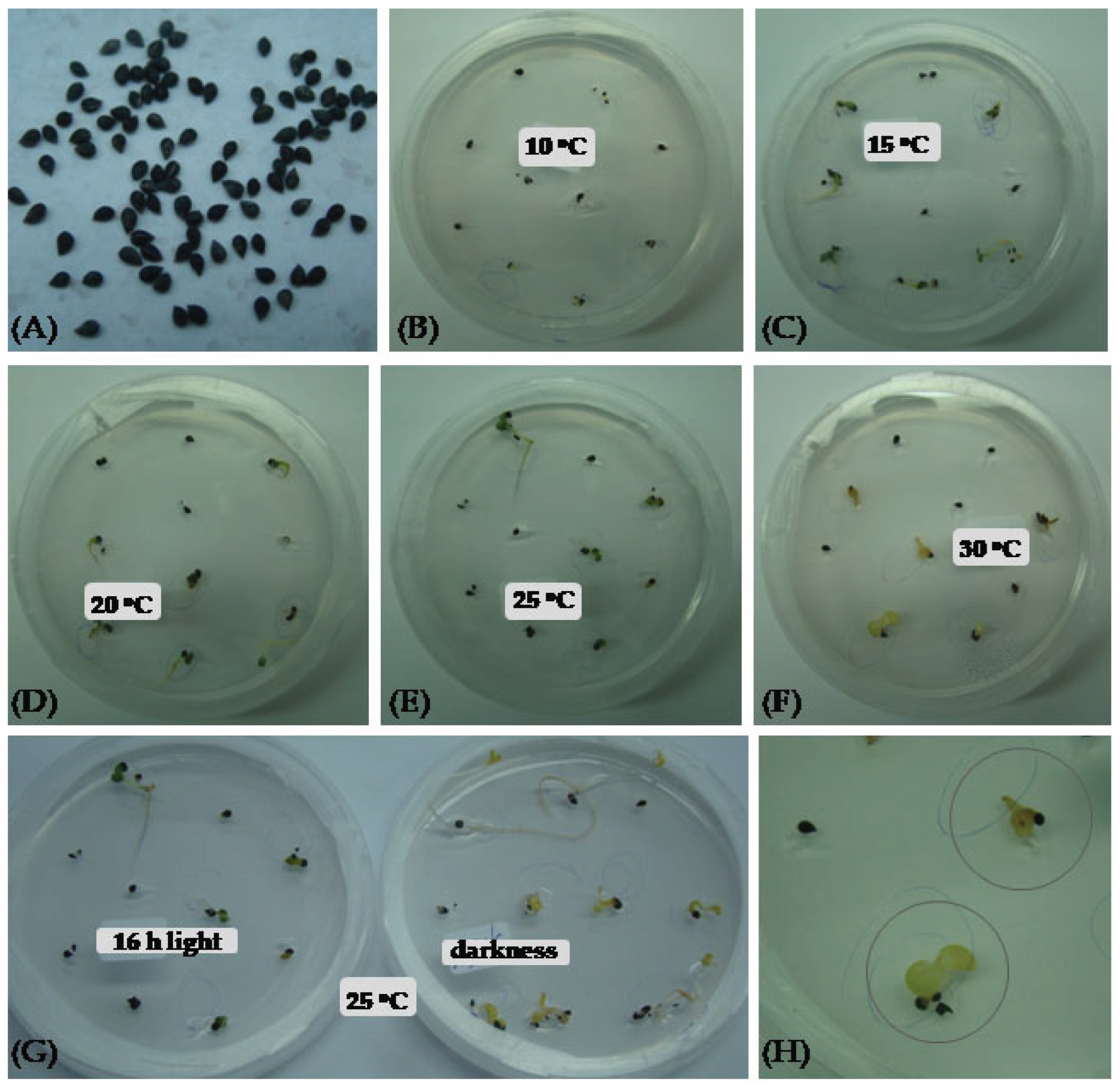 Preprints 162499 g002