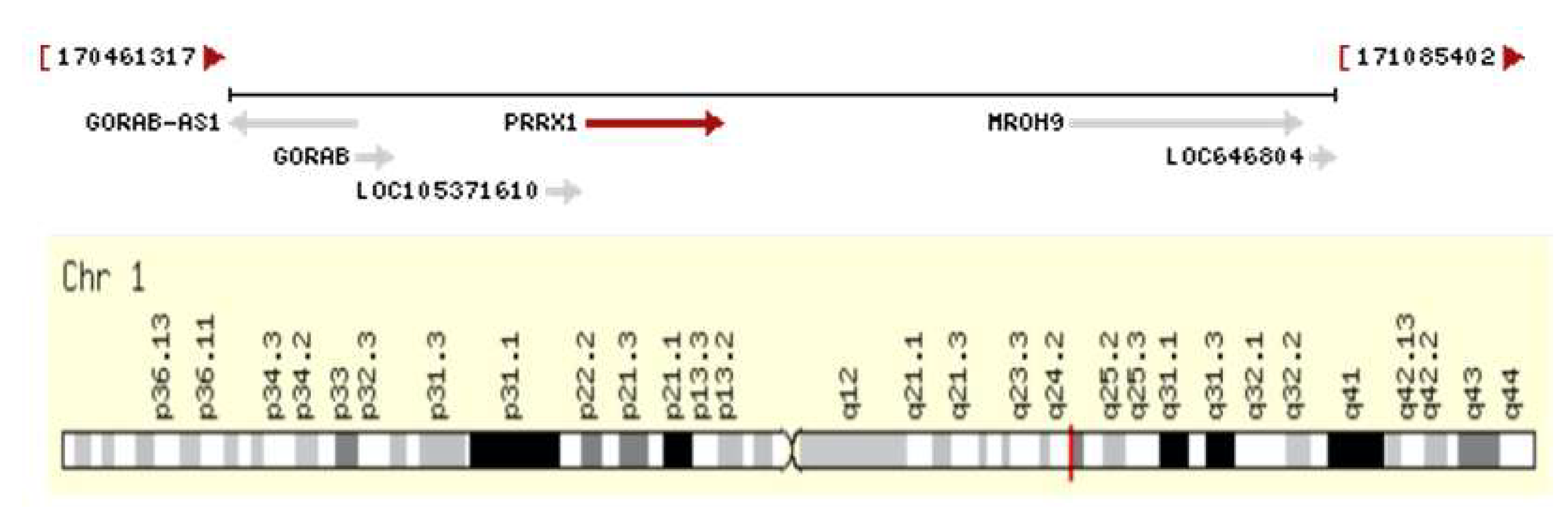 Preprints 146537 g001