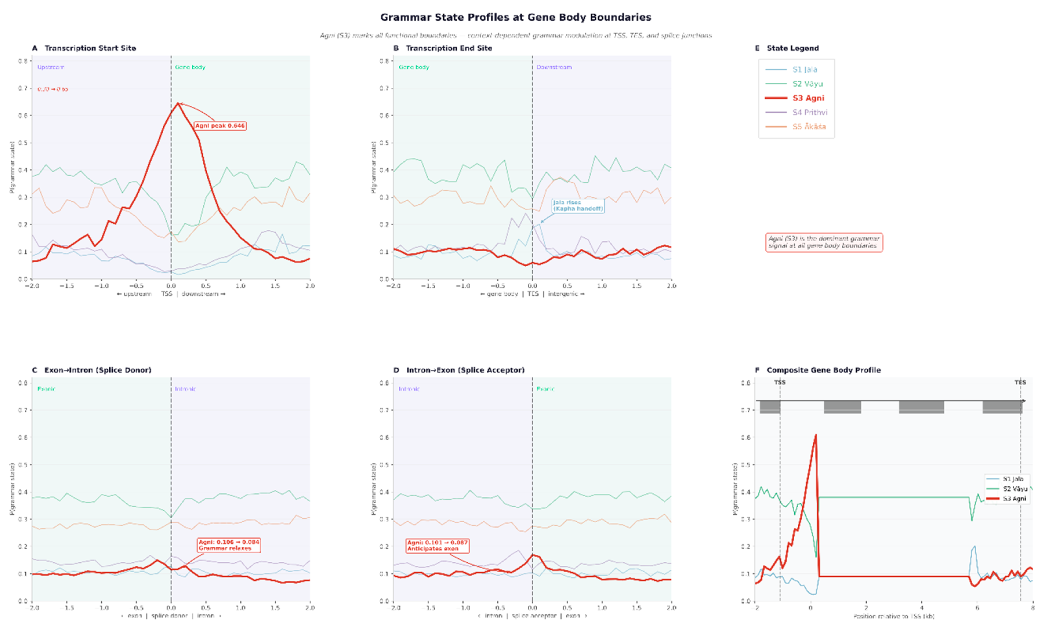 Preprints 207243 g005