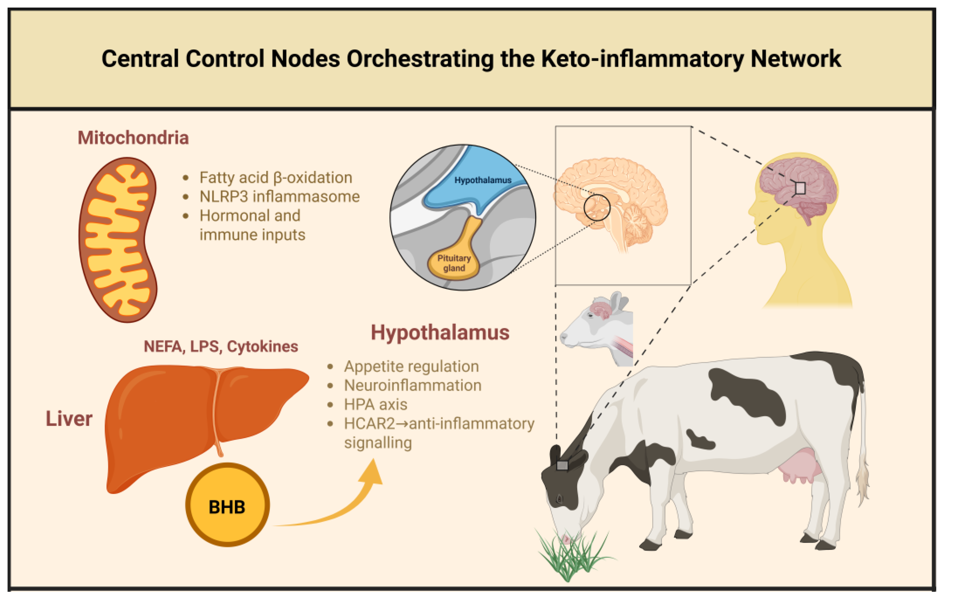 Preprints 185917 g005