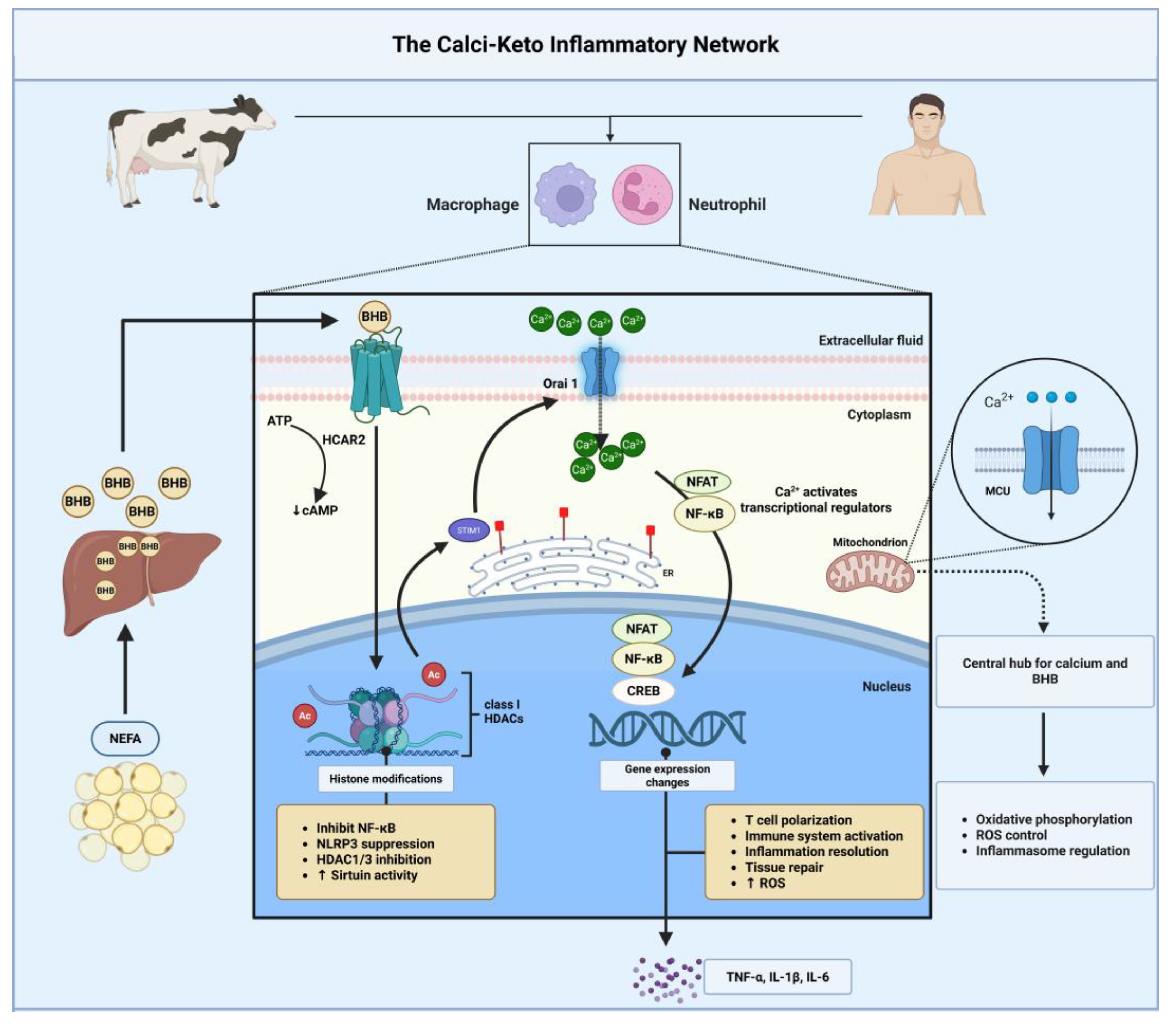 Preprints 185917 g009