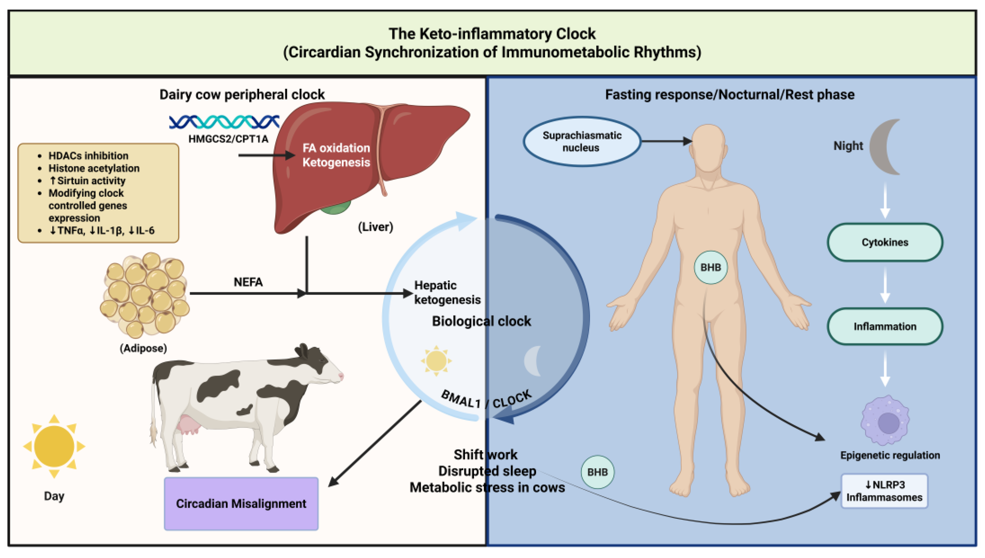 Preprints 185917 g010