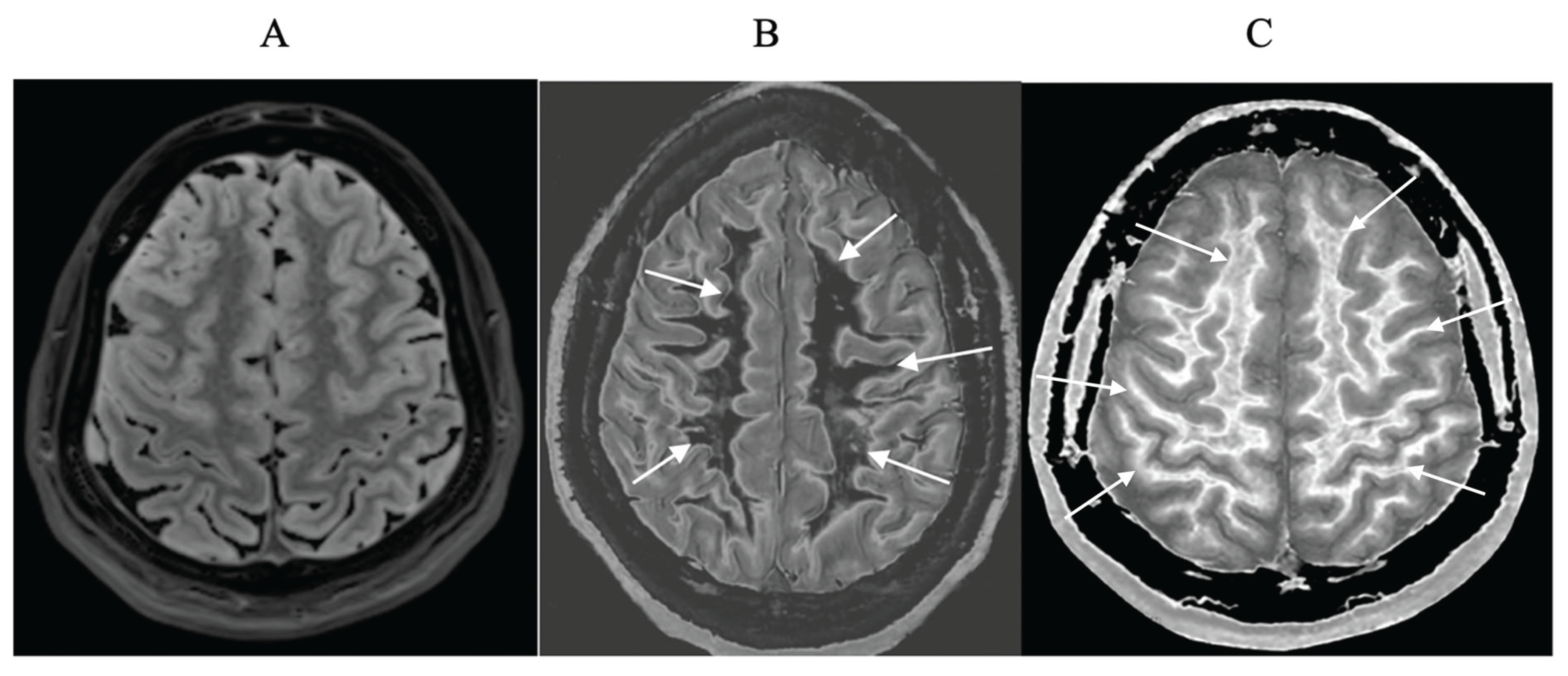 Preprints 161776 g001