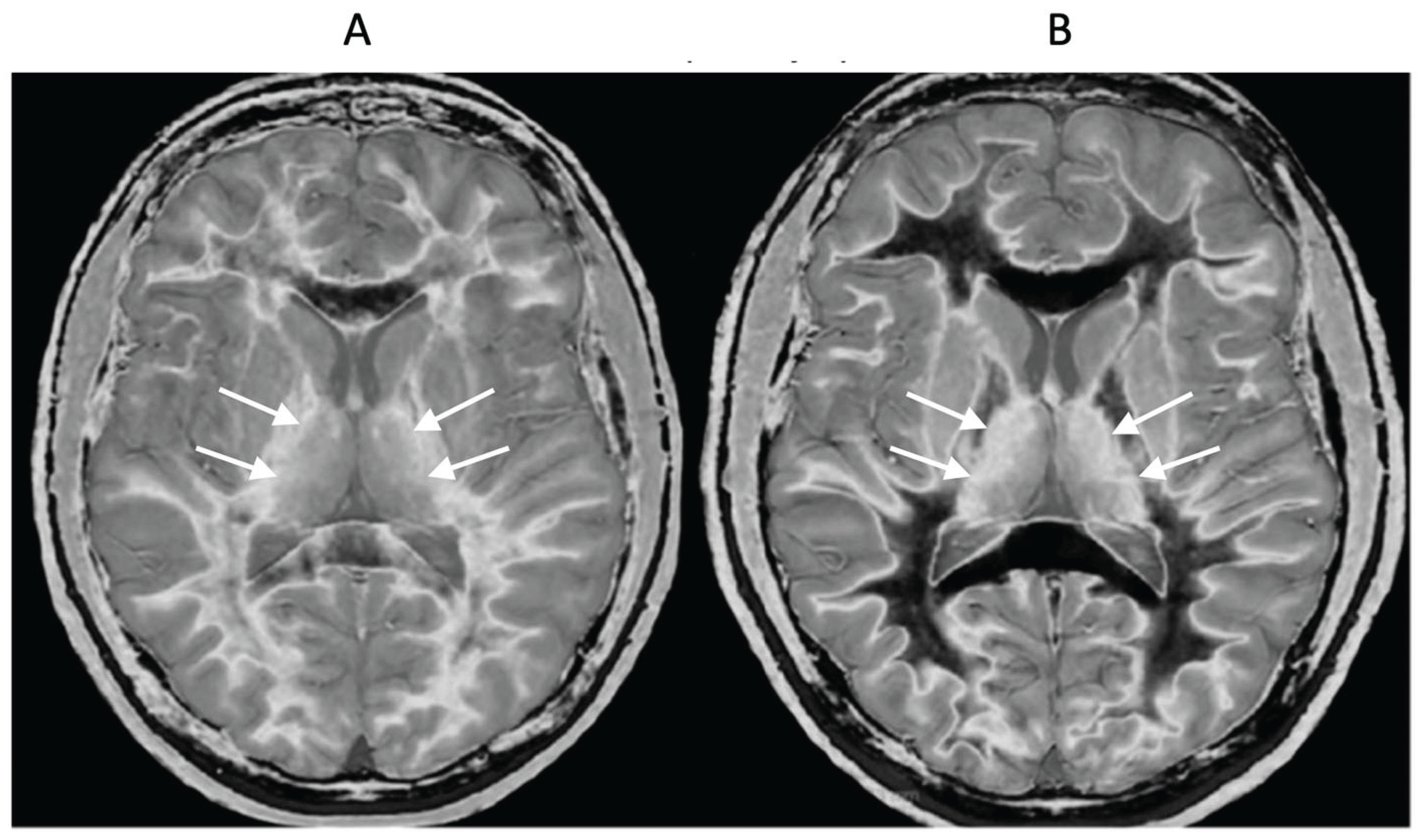 Preprints 161776 g012
