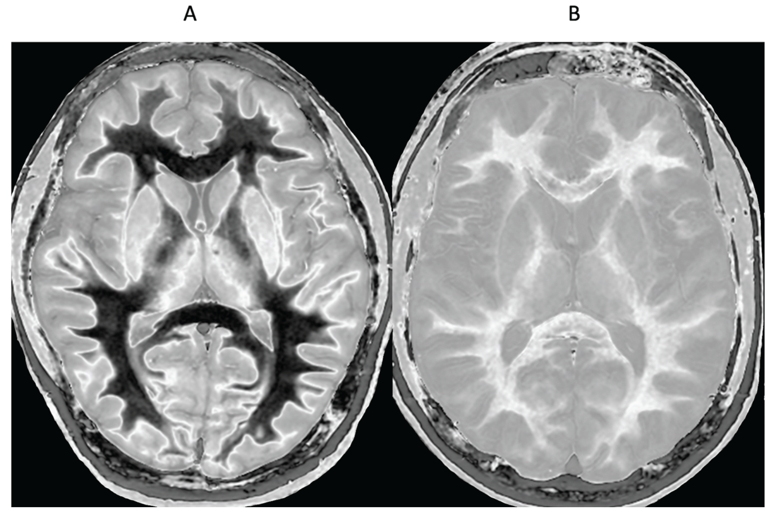 Preprints 161776 g013