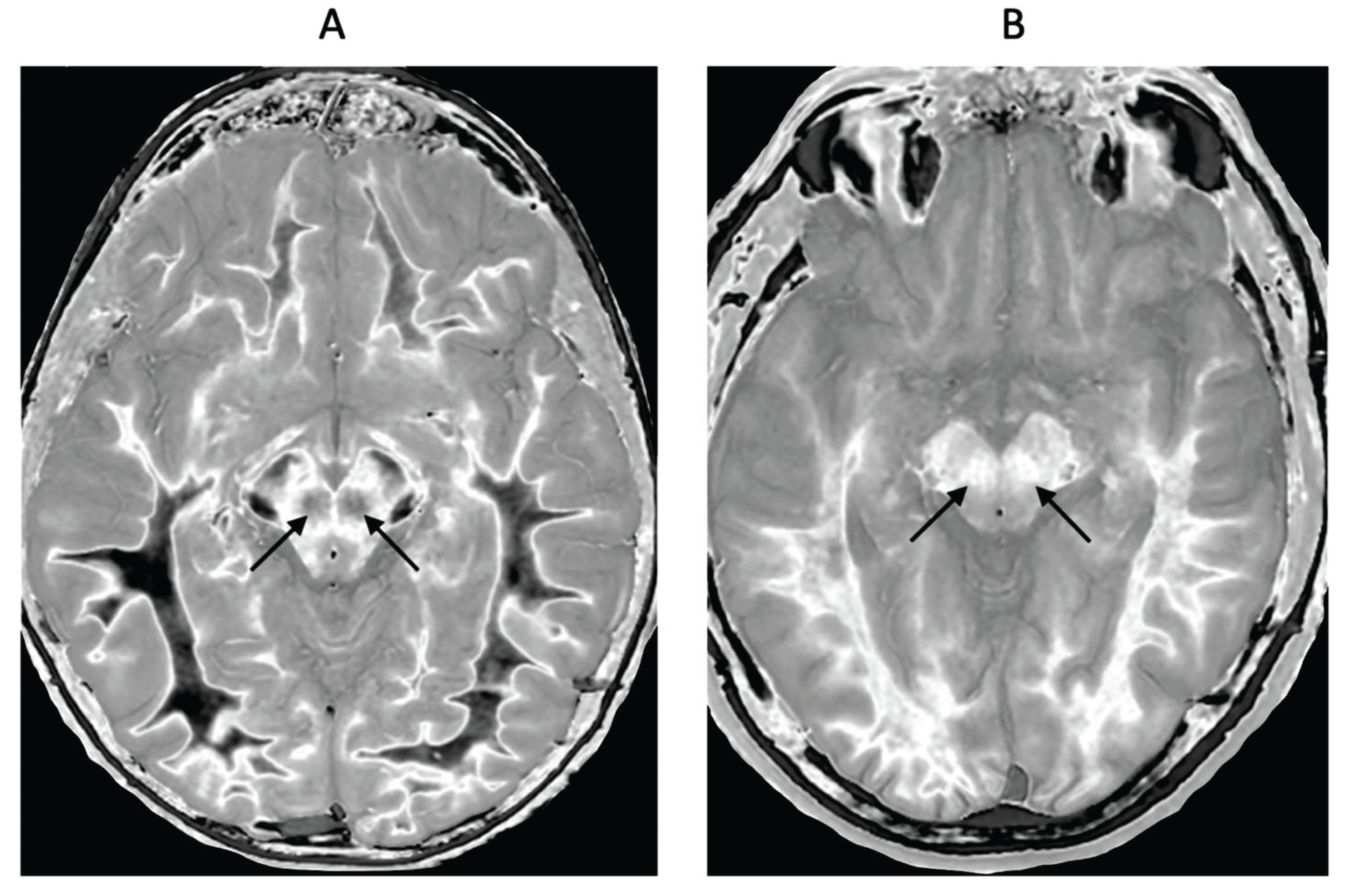 Preprints 161776 g014