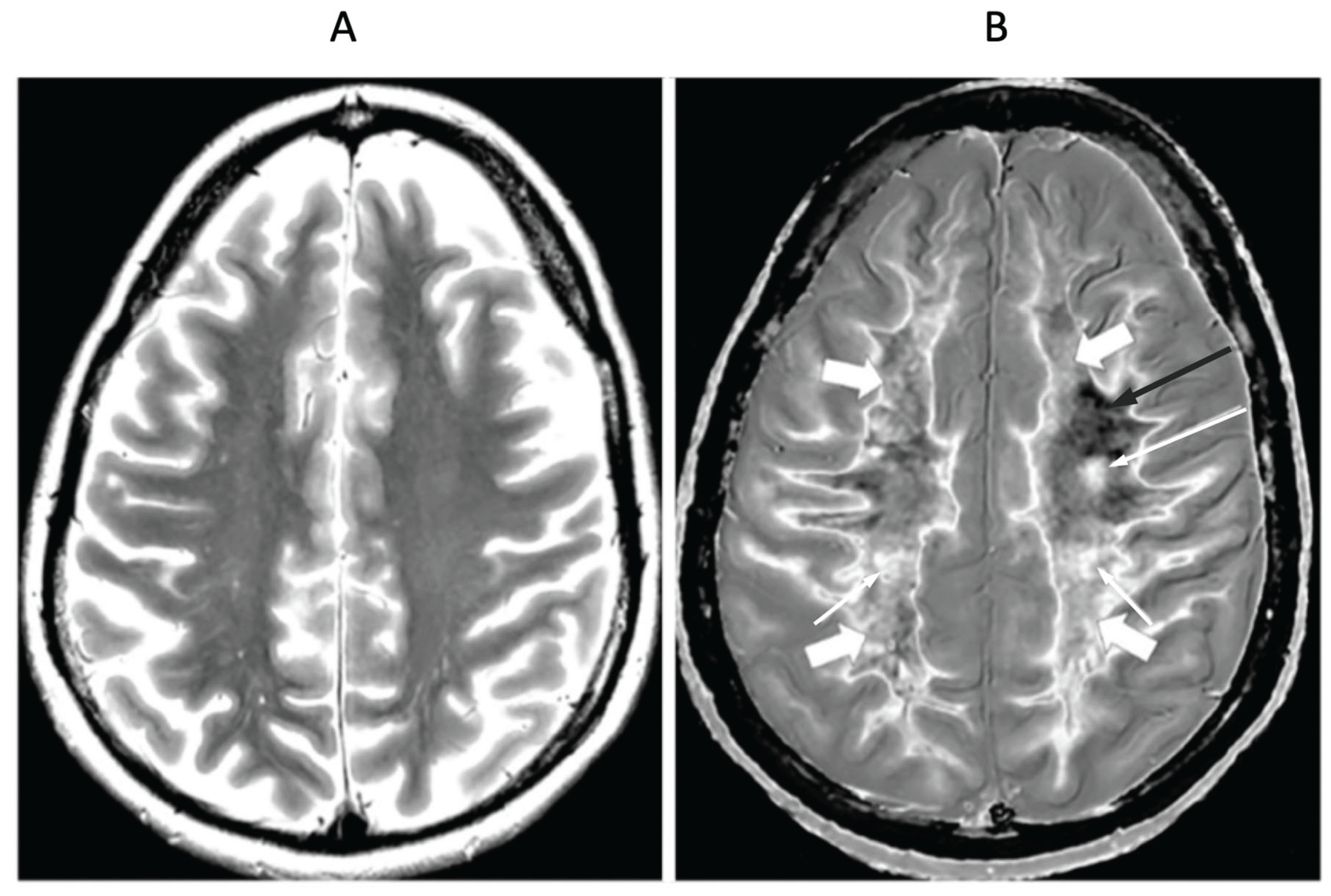 Preprints 161776 g015