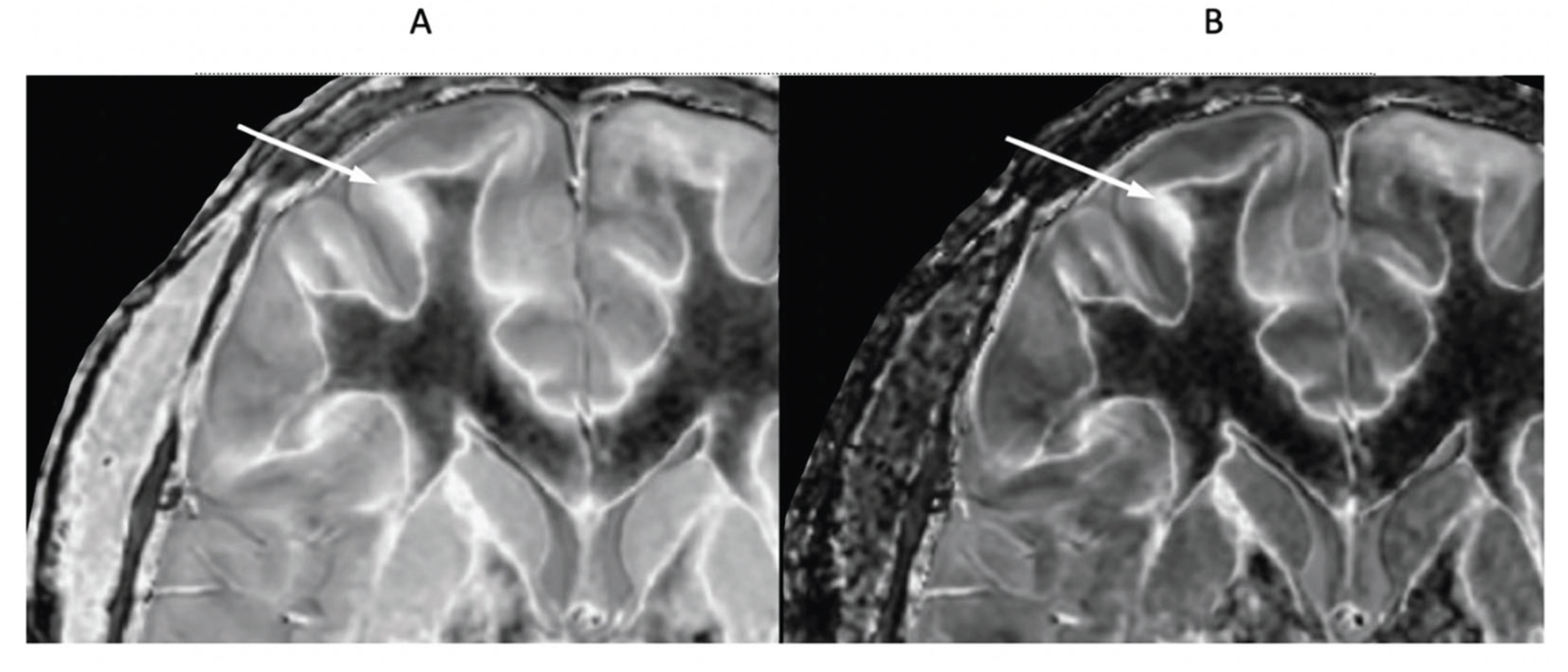 Preprints 161776 g017
