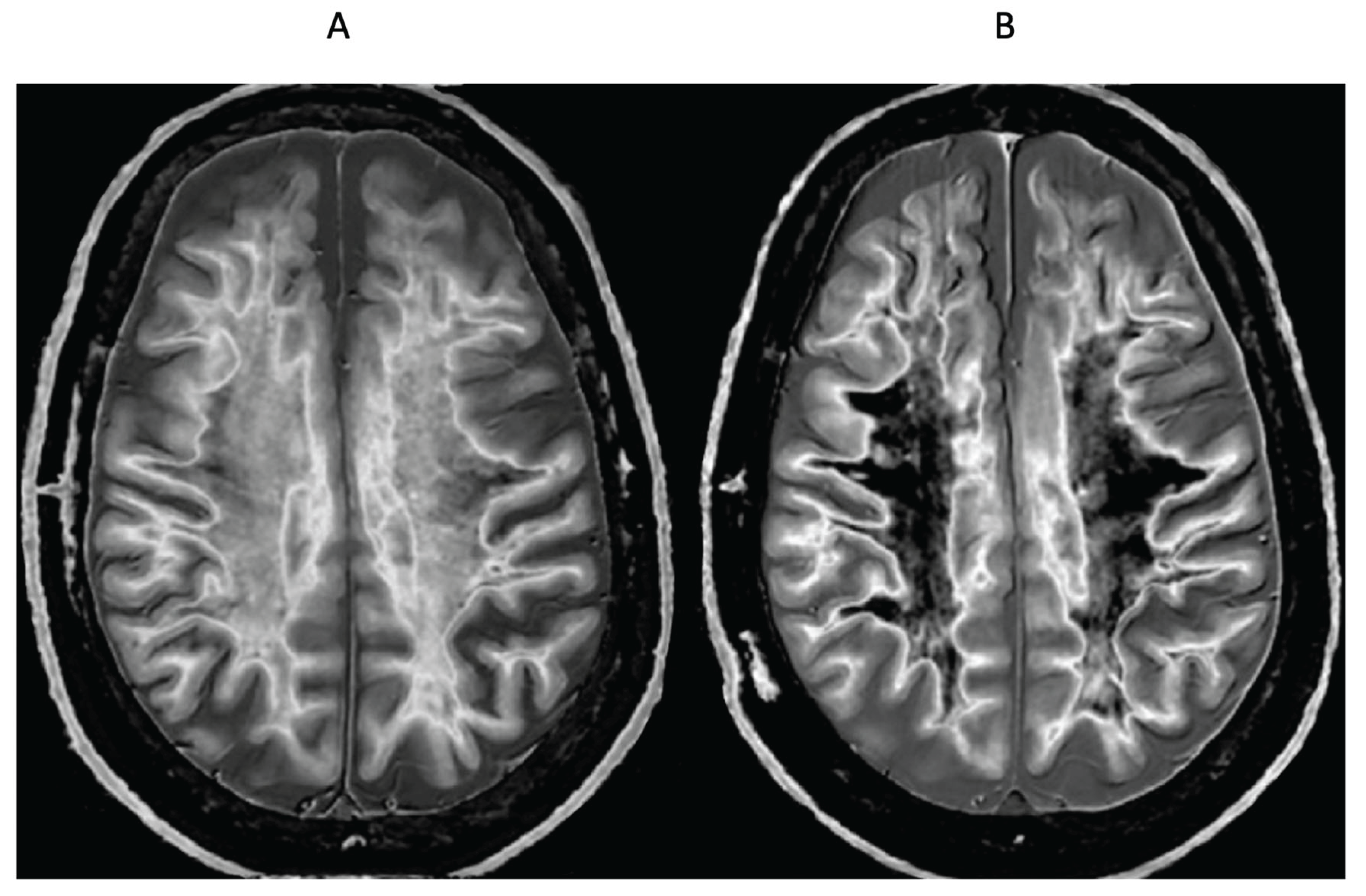 Preprints 161776 g019