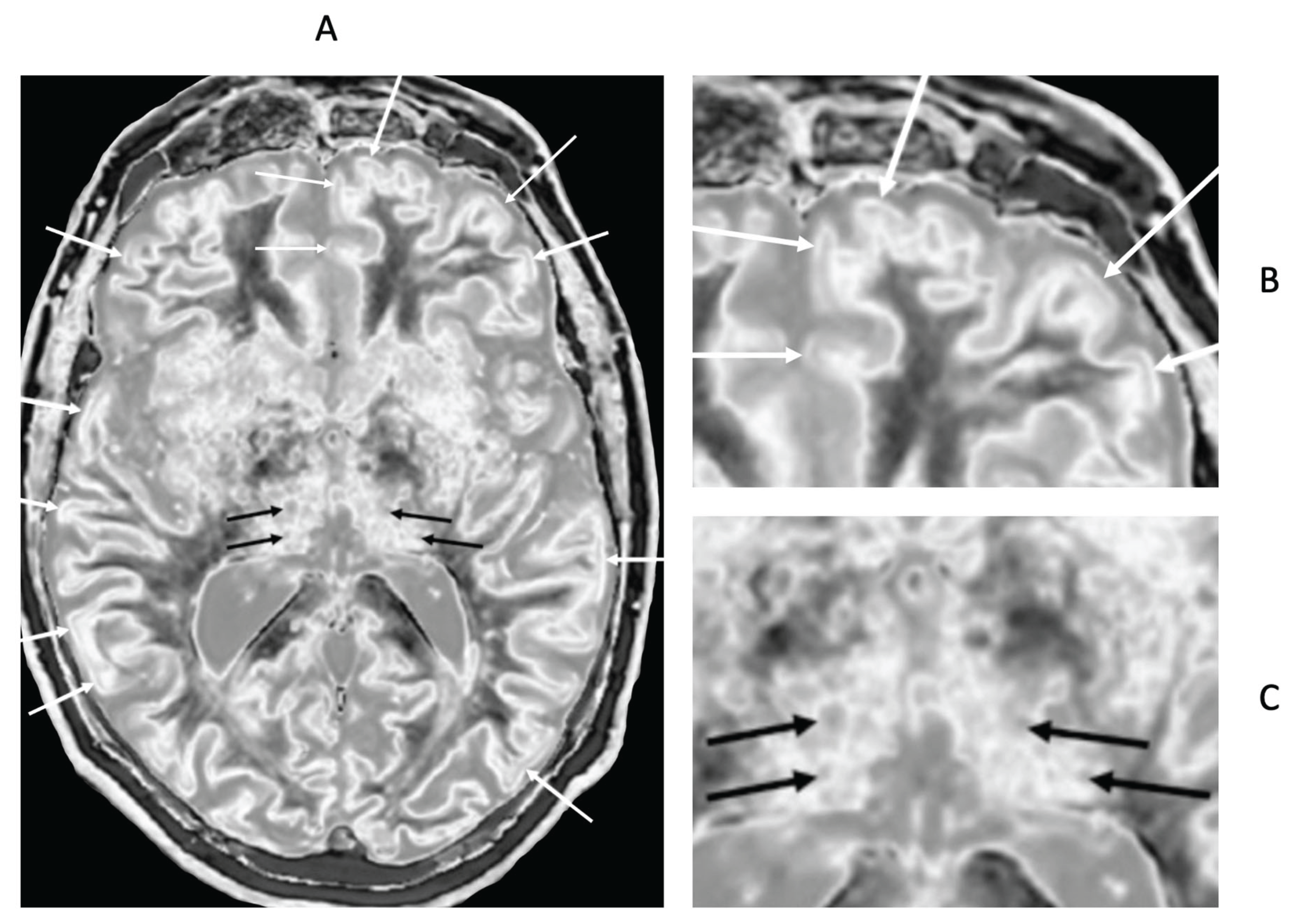 Preprints 161776 g020