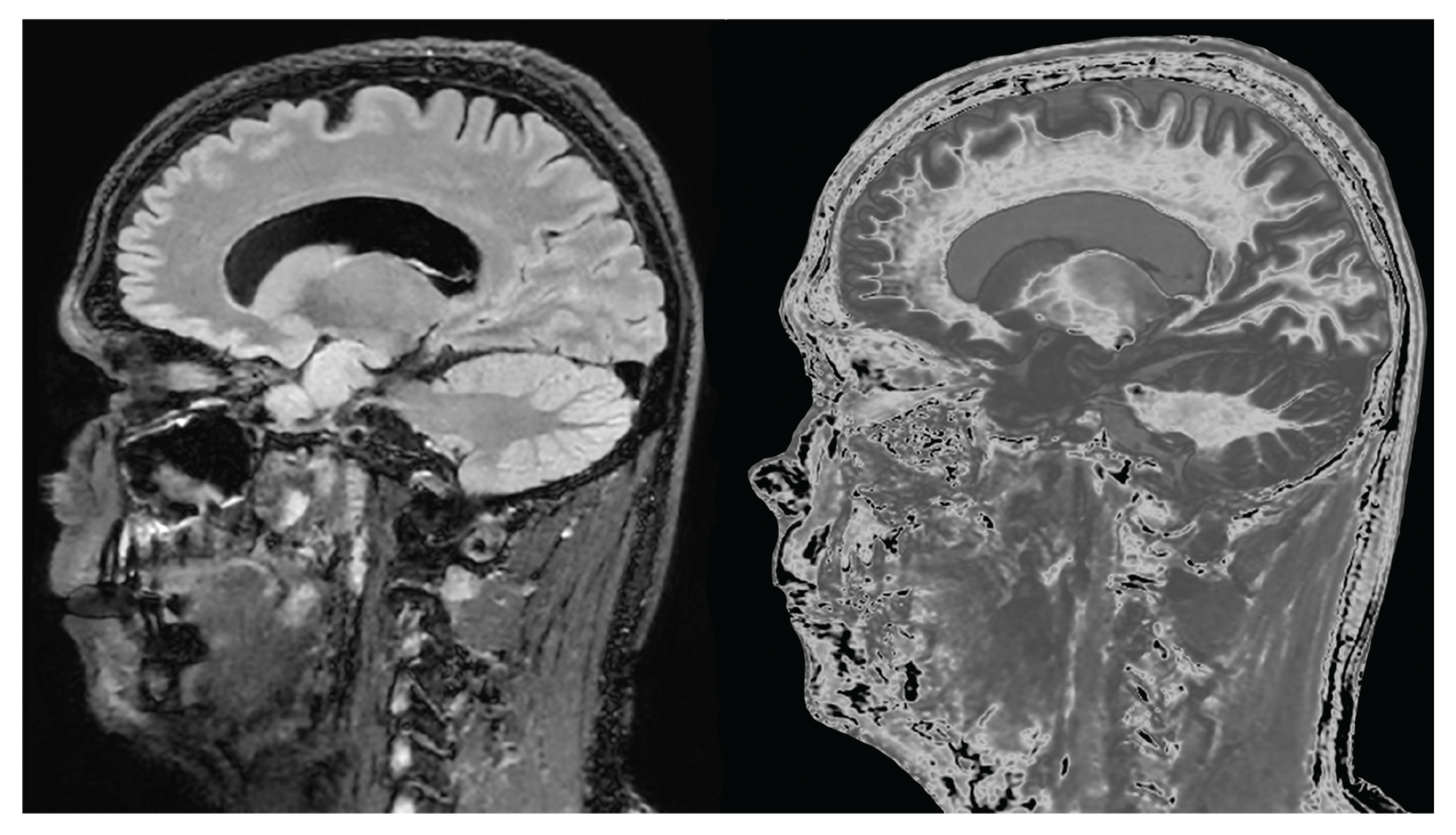 Preprints 161776 g021